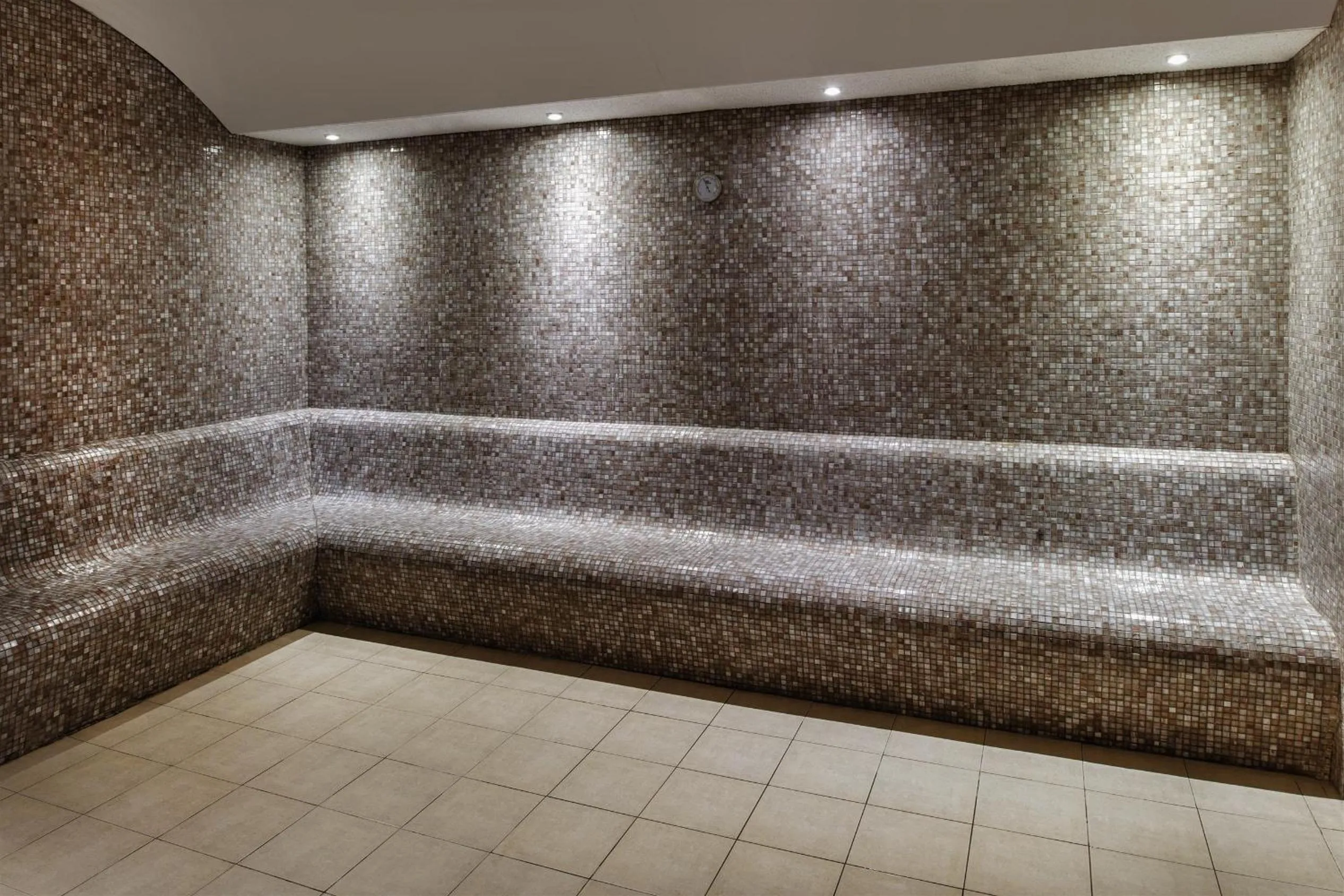 Public Bath in Botanik Platinum Hotel