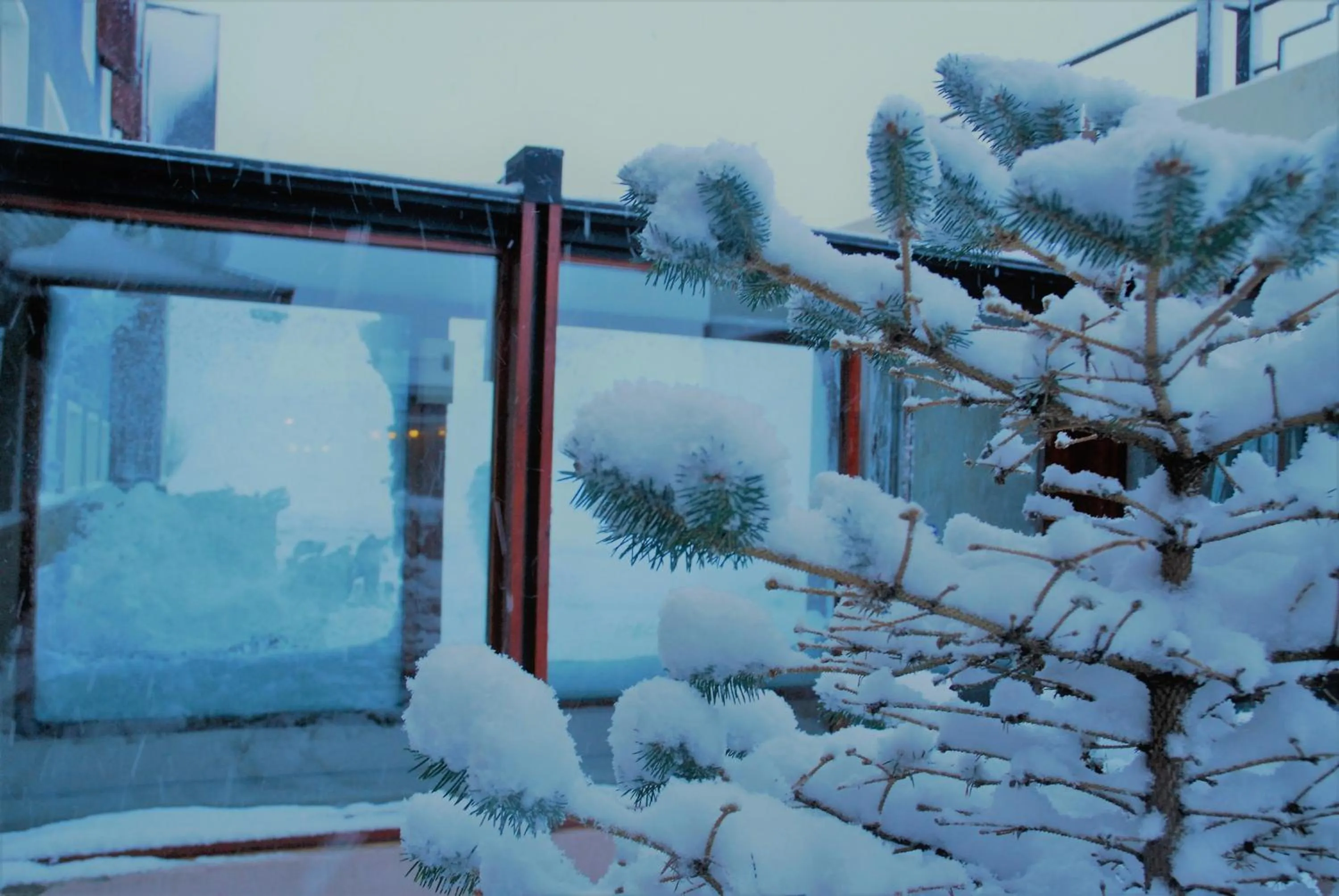 Natural landscape in Alto Calafate Hotel