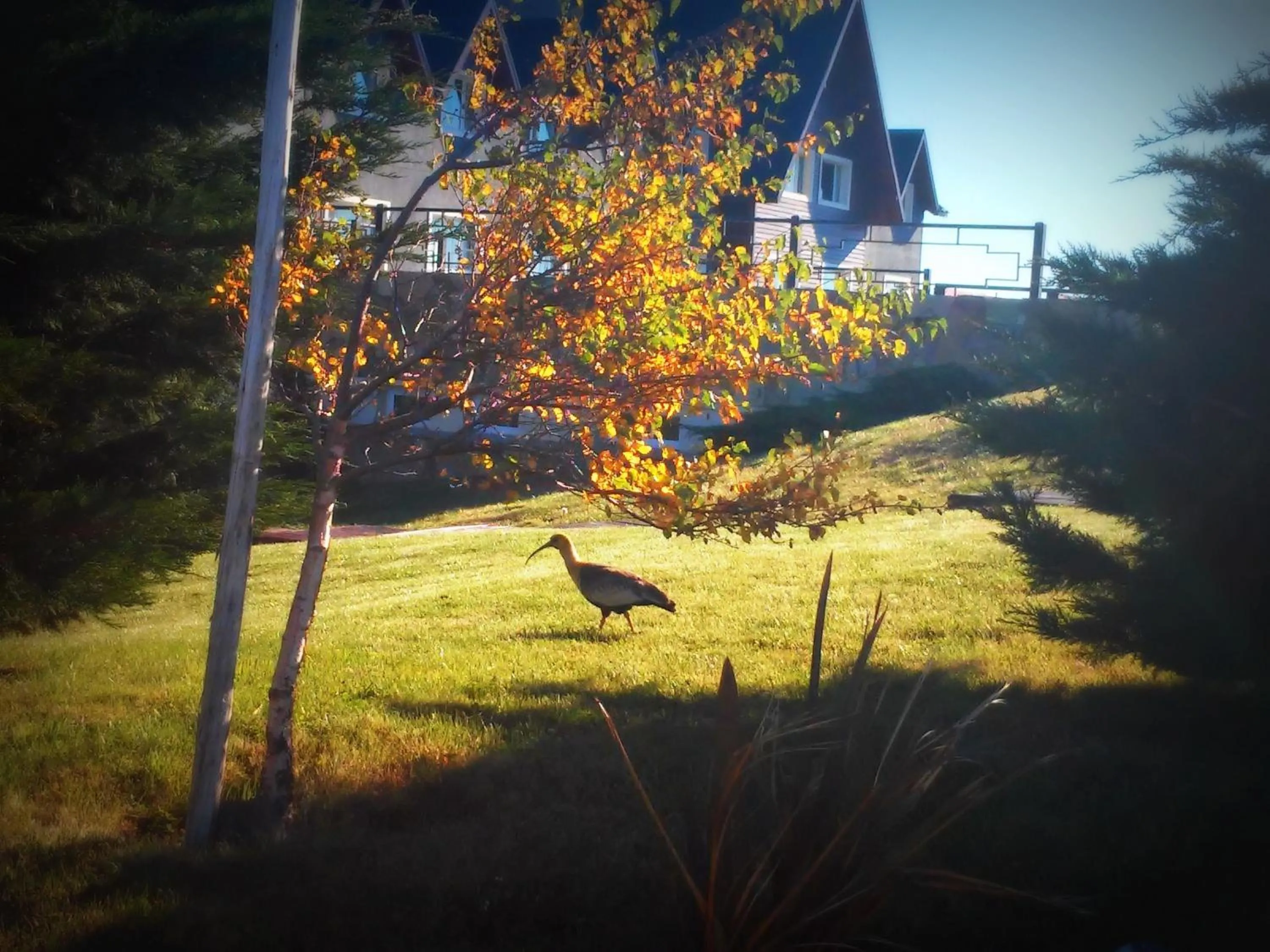 Decorative detail in Alto Calafate Hotel