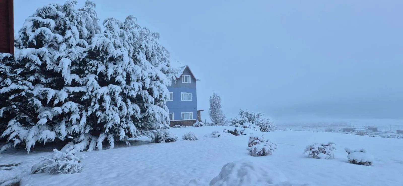 Garden in Alto Calafate Hotel