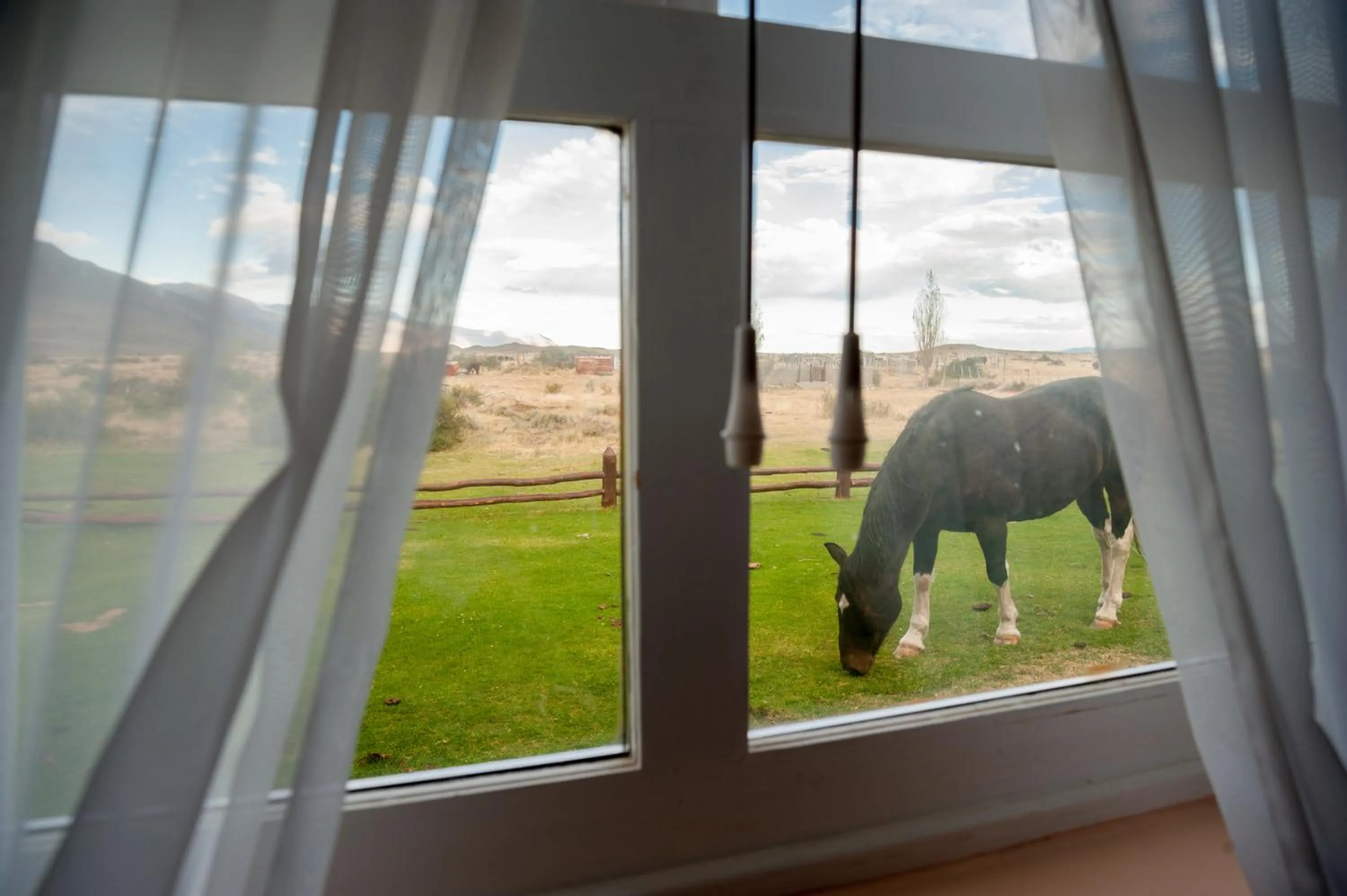 Garden view in Estancia La Quinta