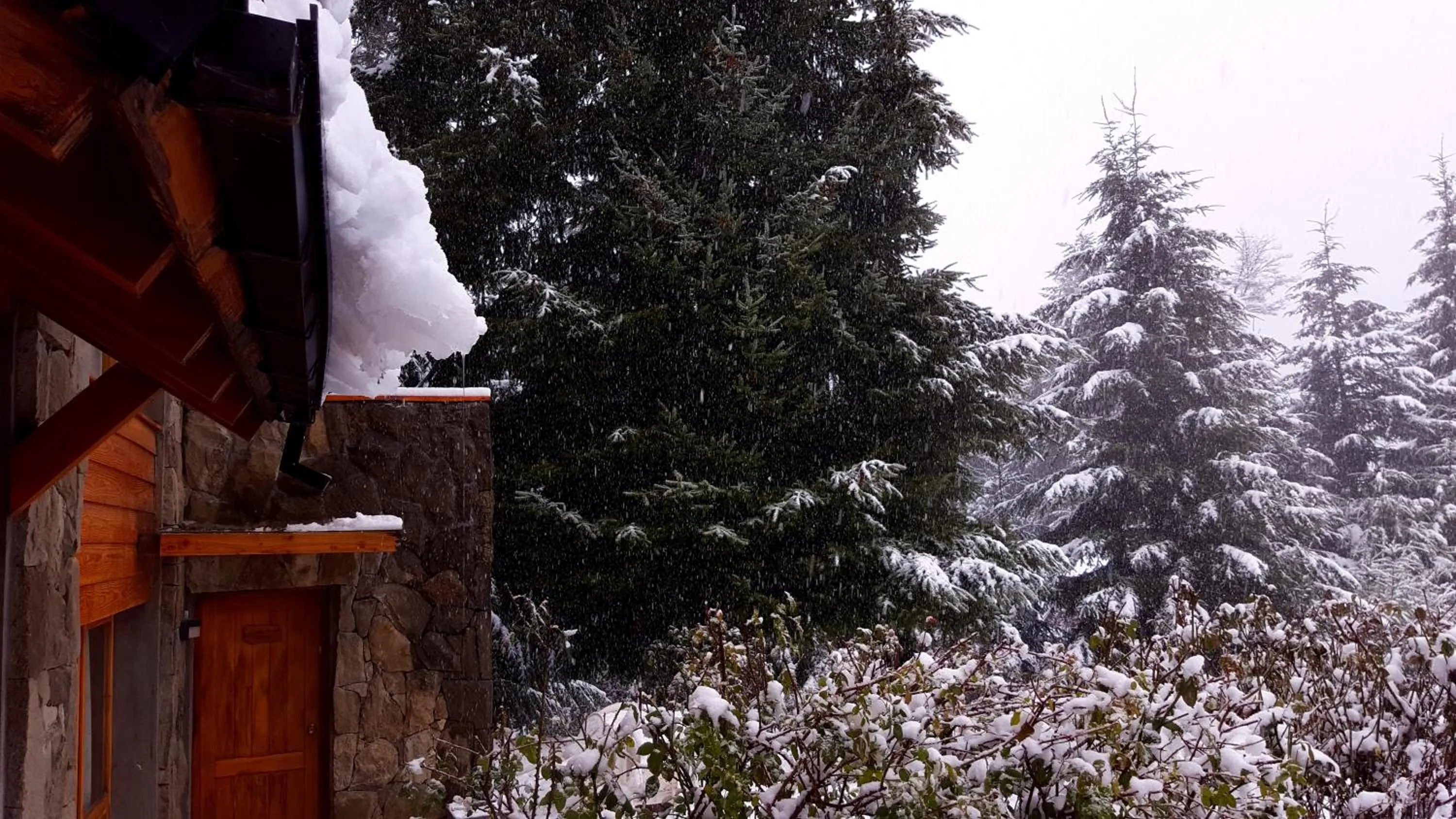 Casa Del Bosque Aparts