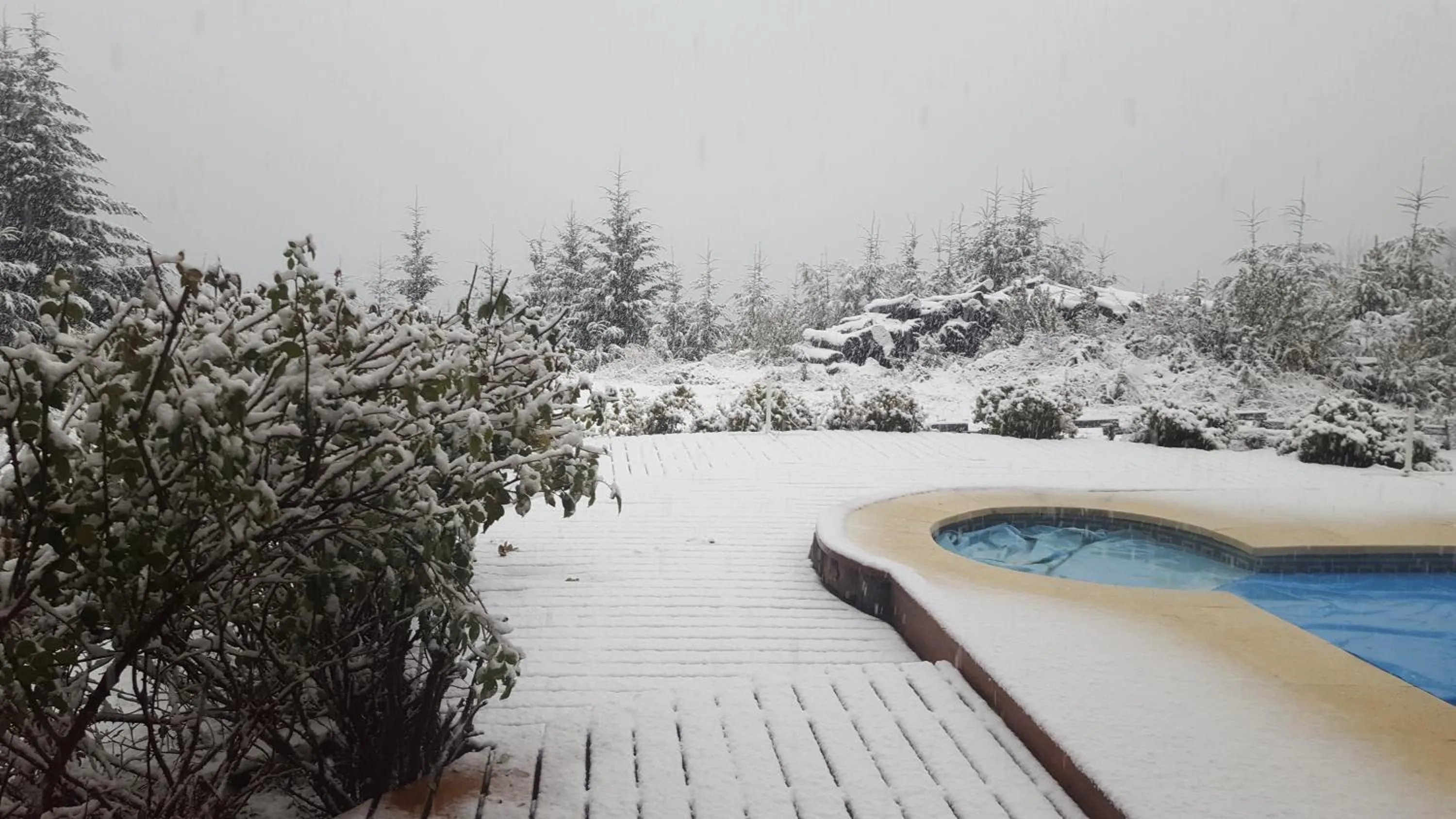 Casa Del Bosque Aparts