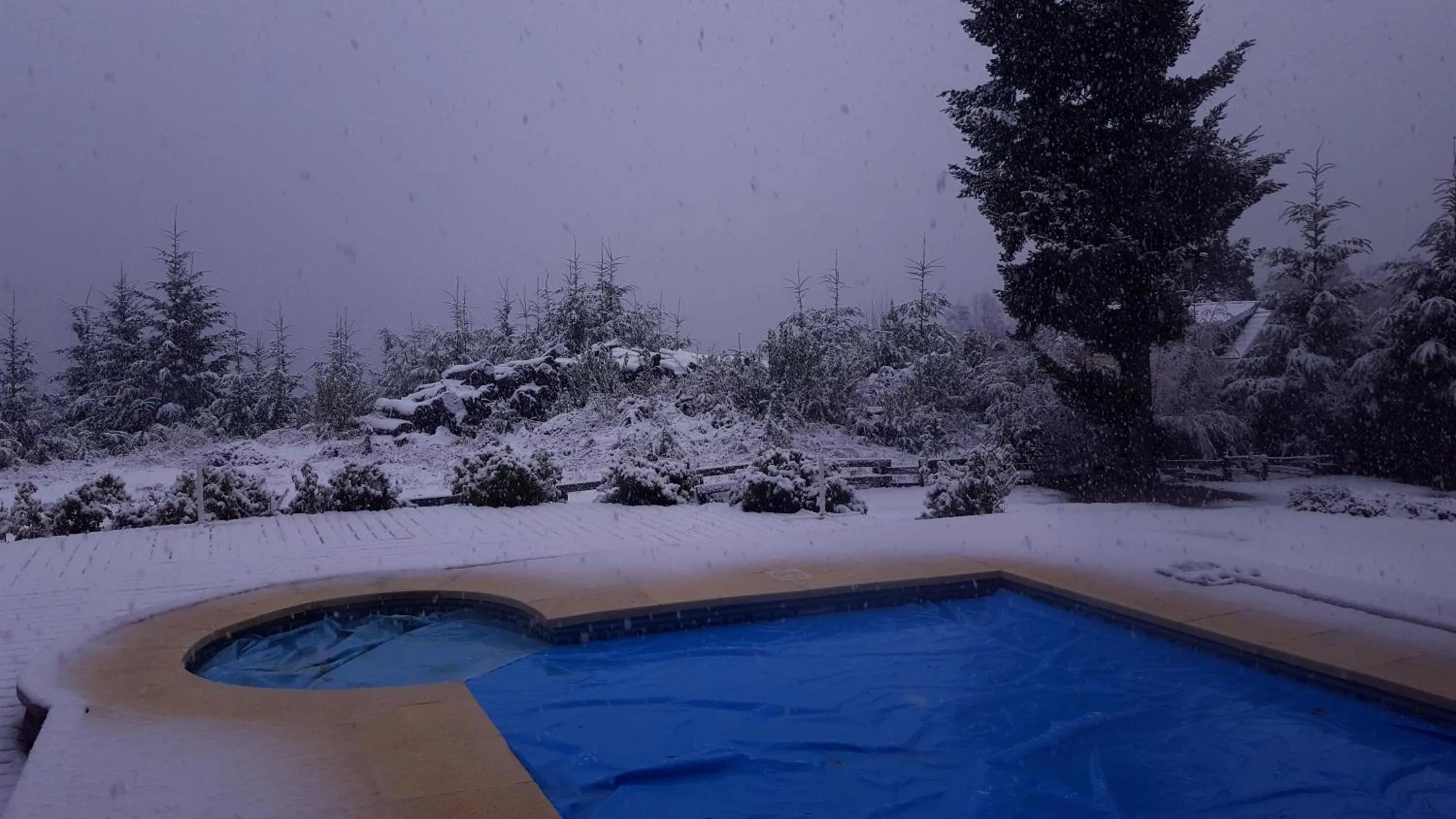 Casa Del Bosque Aparts