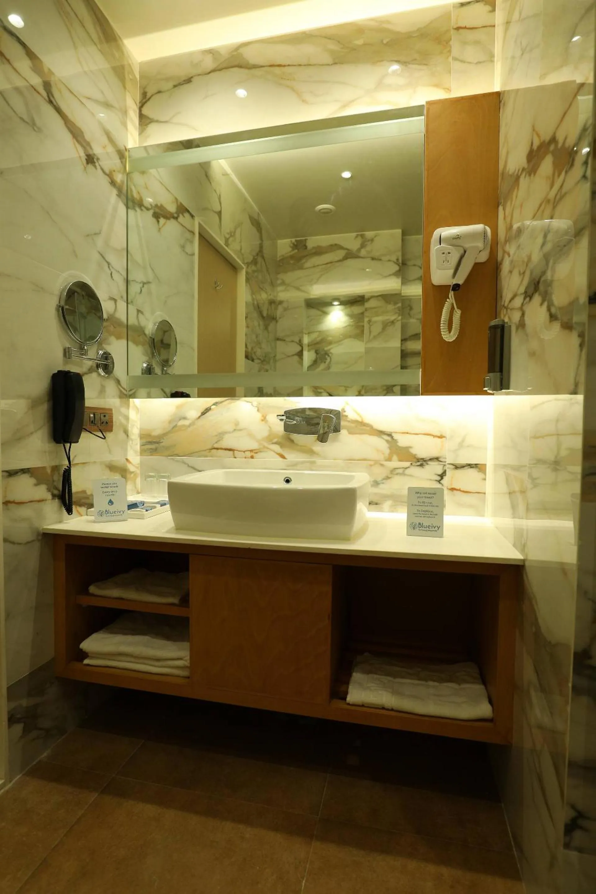 Bathroom in Hotel Blueivy Anand