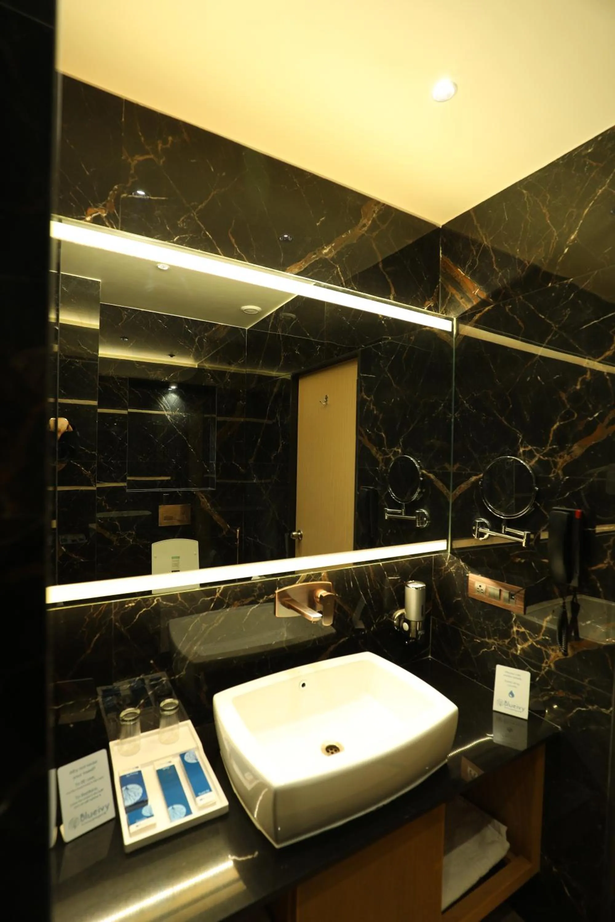 Bathroom in Hotel Blueivy Anand