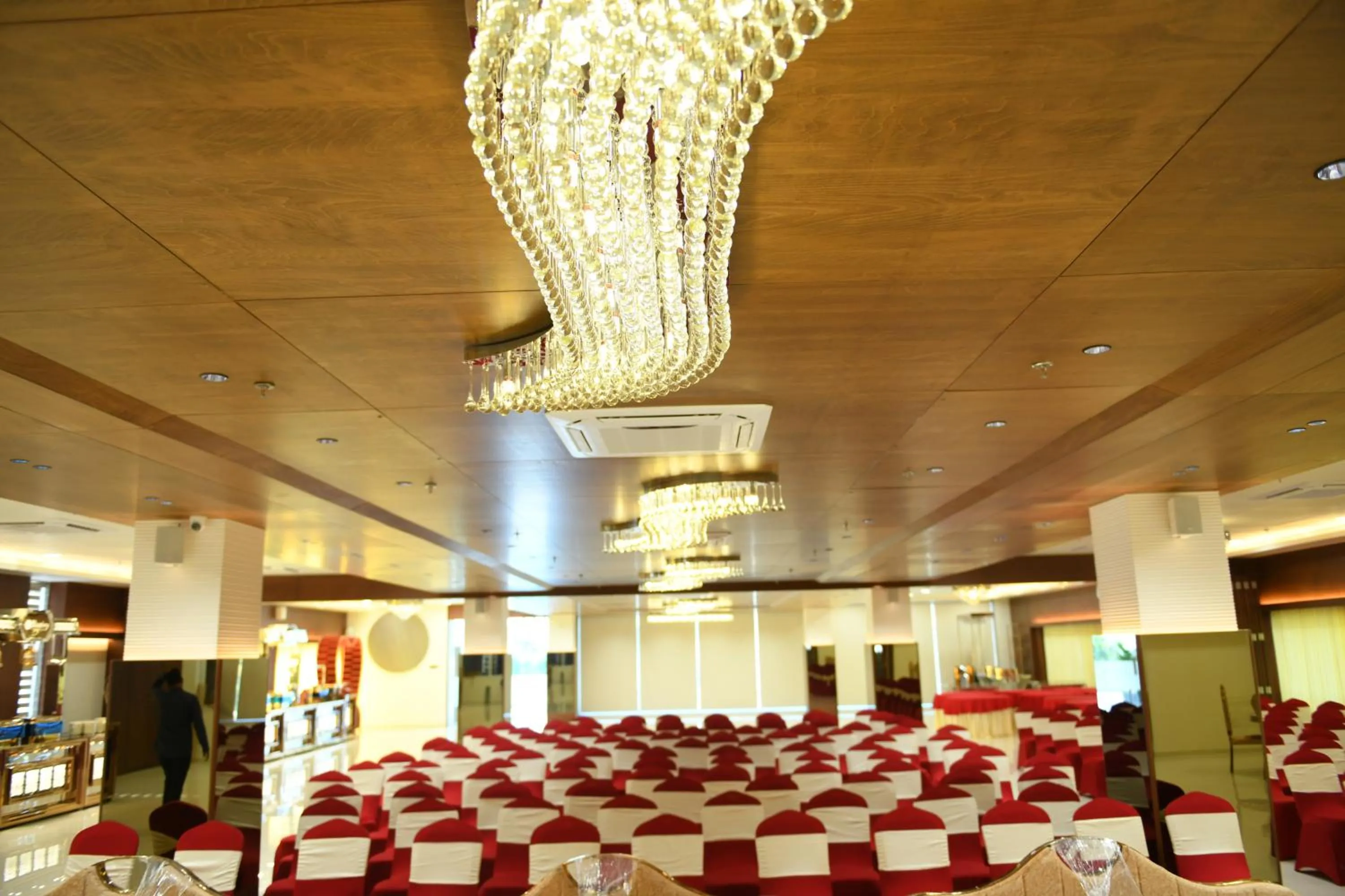 Banquet/Function facilities in Hotel Blueivy Anand