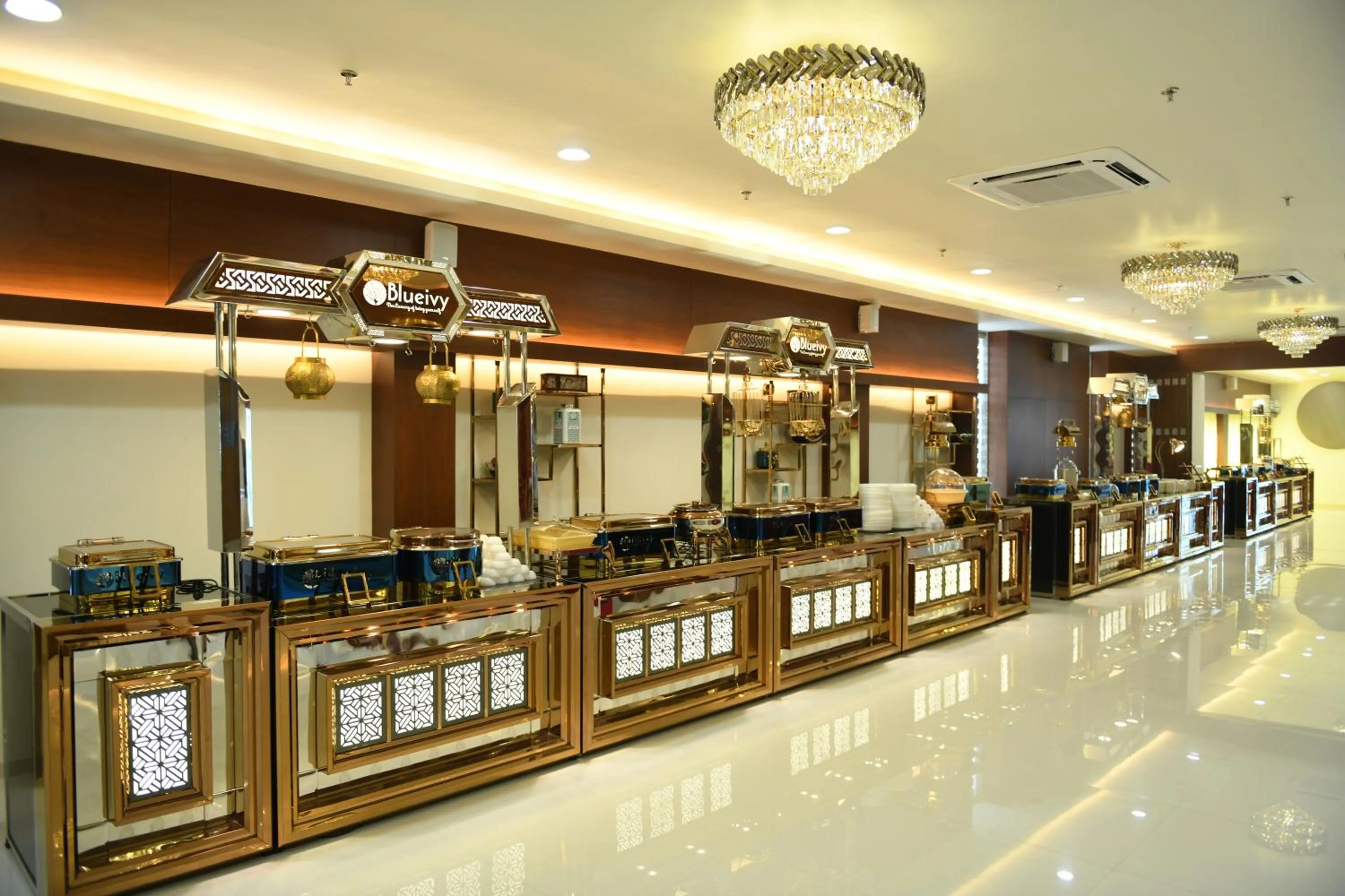 Banquet/Function facilities in Hotel Blueivy Anand