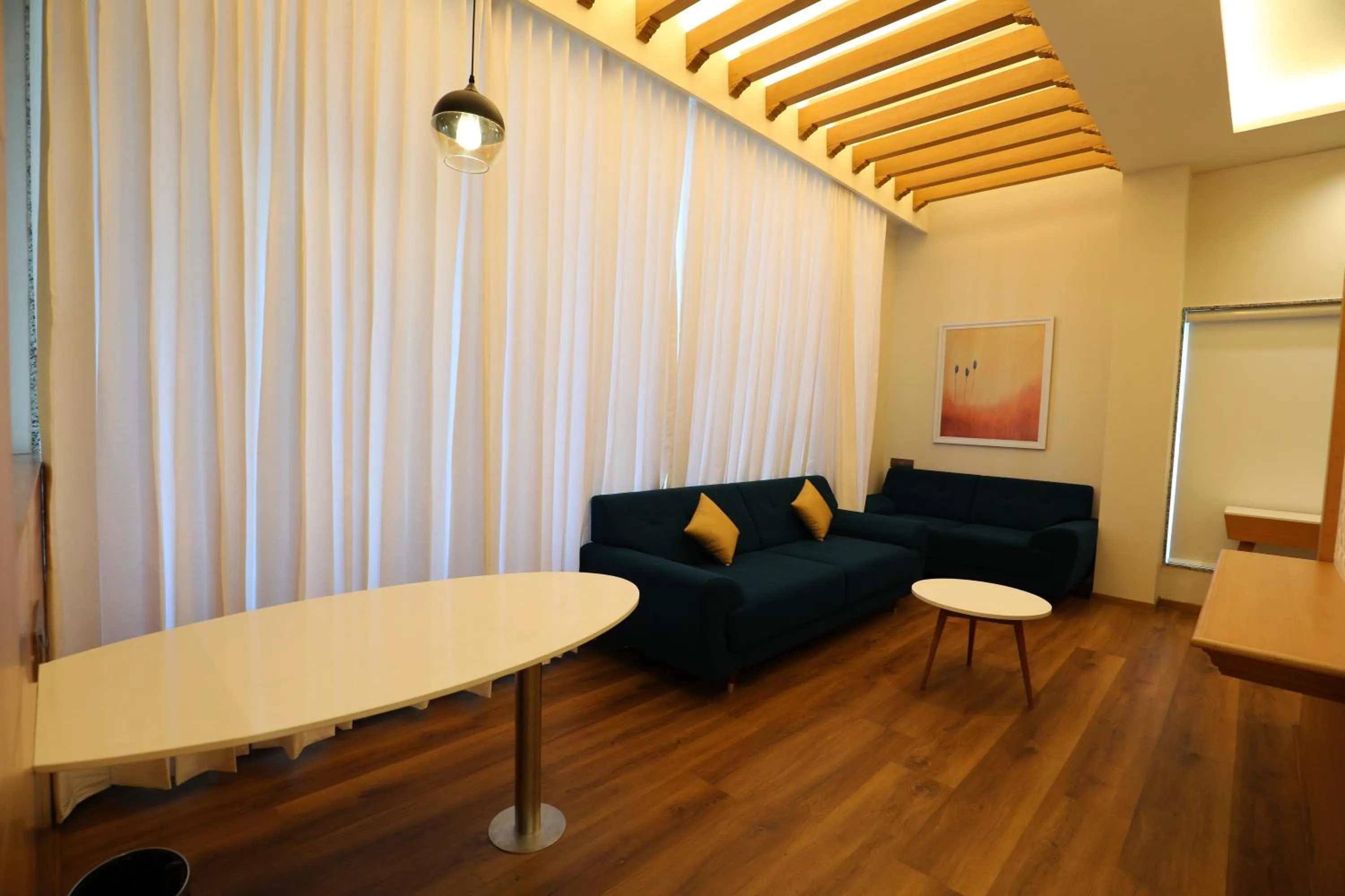 Living room in Hotel Blueivy Anand