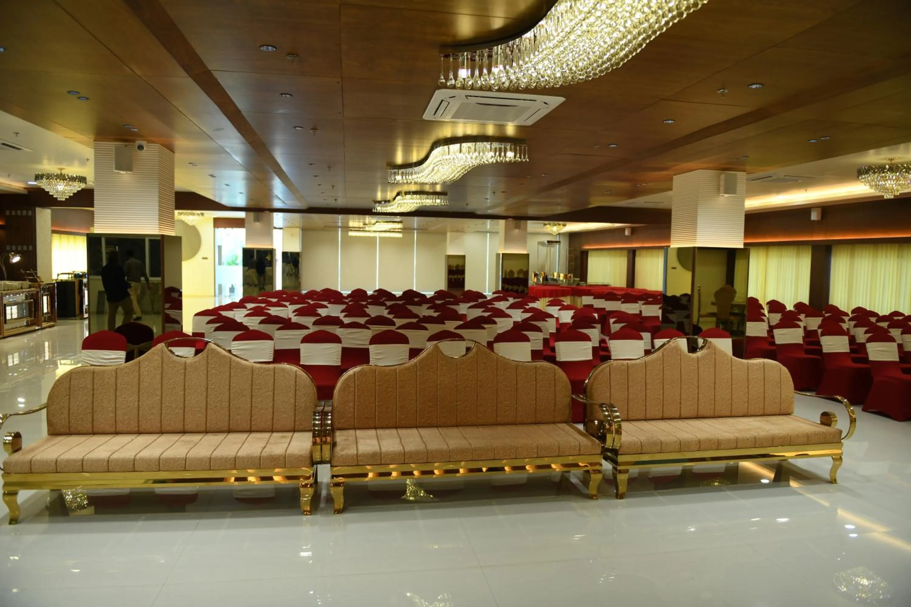 Banquet/Function facilities in Hotel Blueivy Anand
