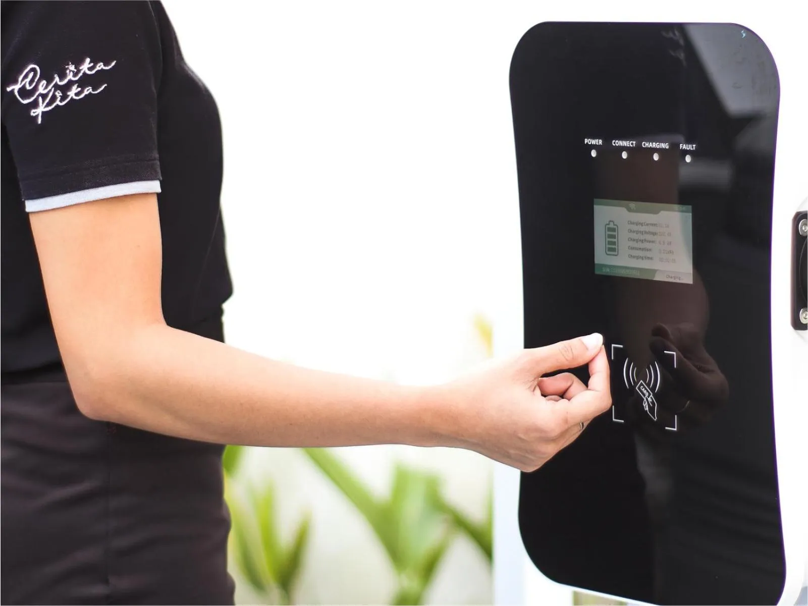 Area and facilities in Sunsetfalls Gardens and Resort