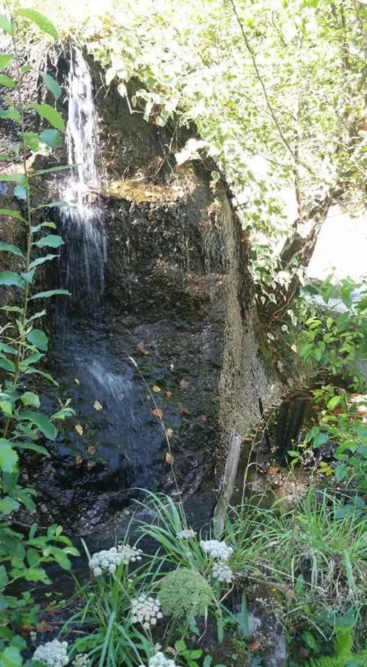 Natural landscape in Casas das Guimbras