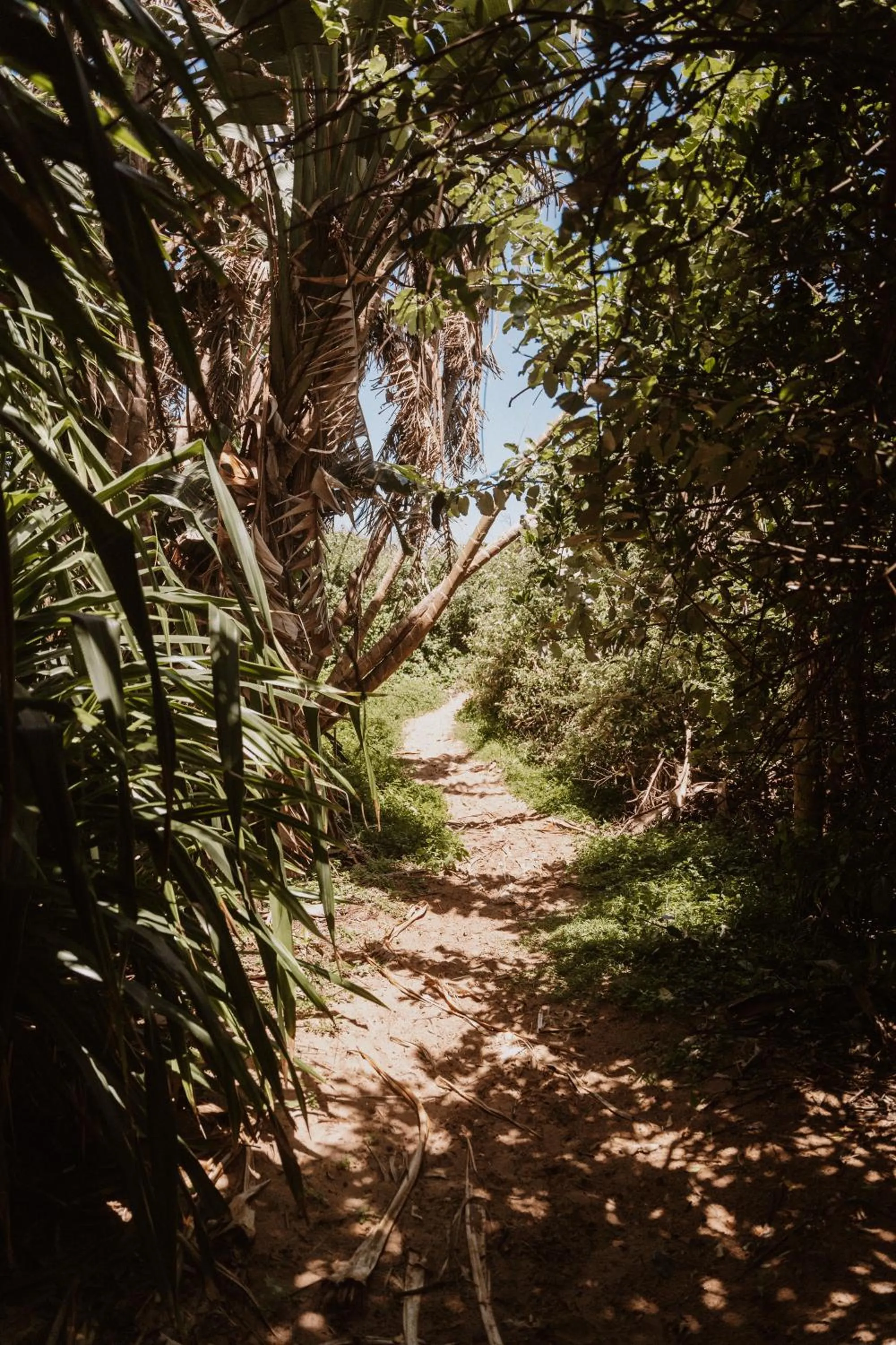 Natural landscape in Caza Beach Guesthouse