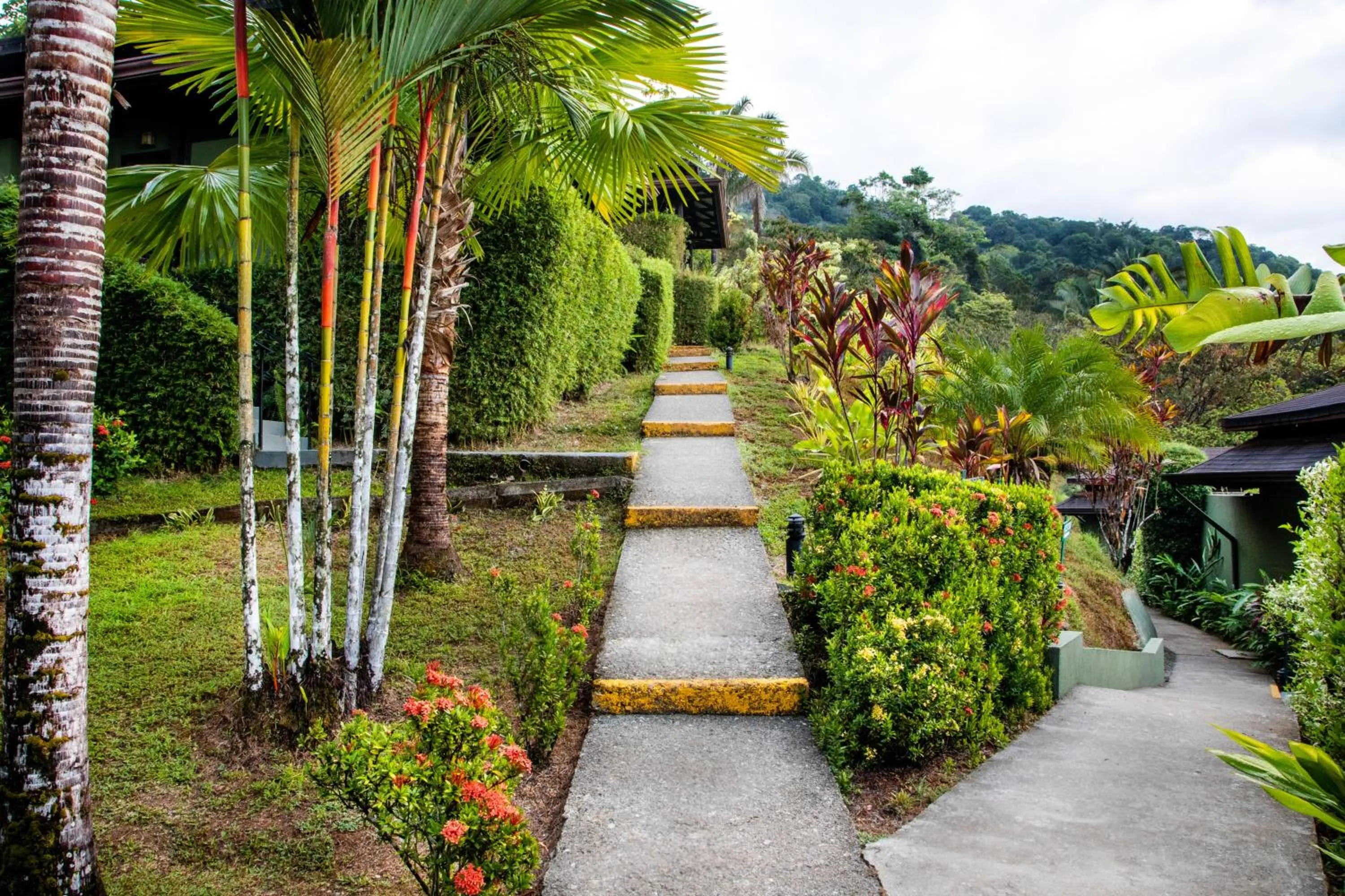 Property building in Tiki Villas Rainforest Lodge - Adults Only