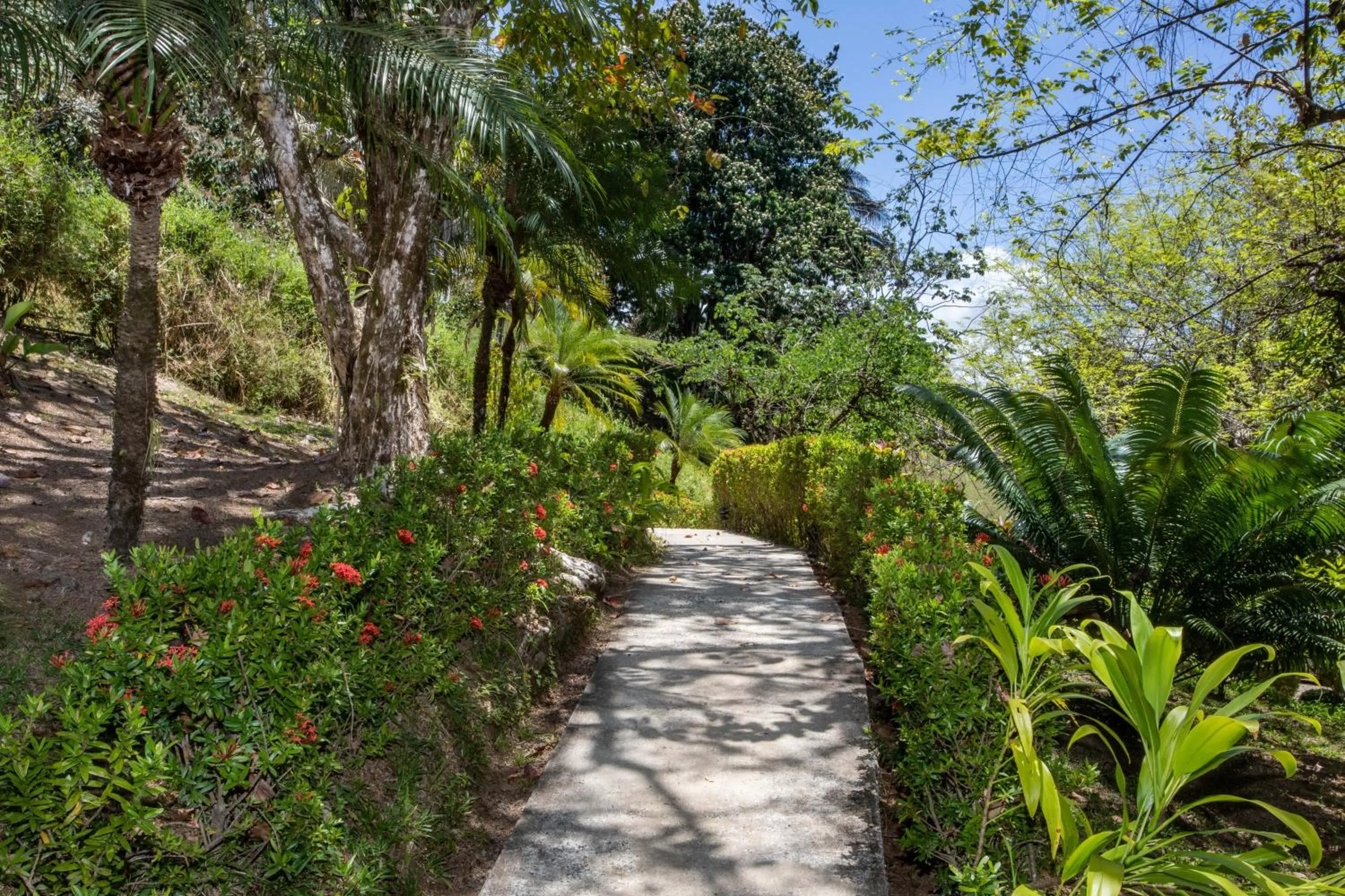 Facade/entrance in Tiki Villas Rainforest Lodge - Adults Only