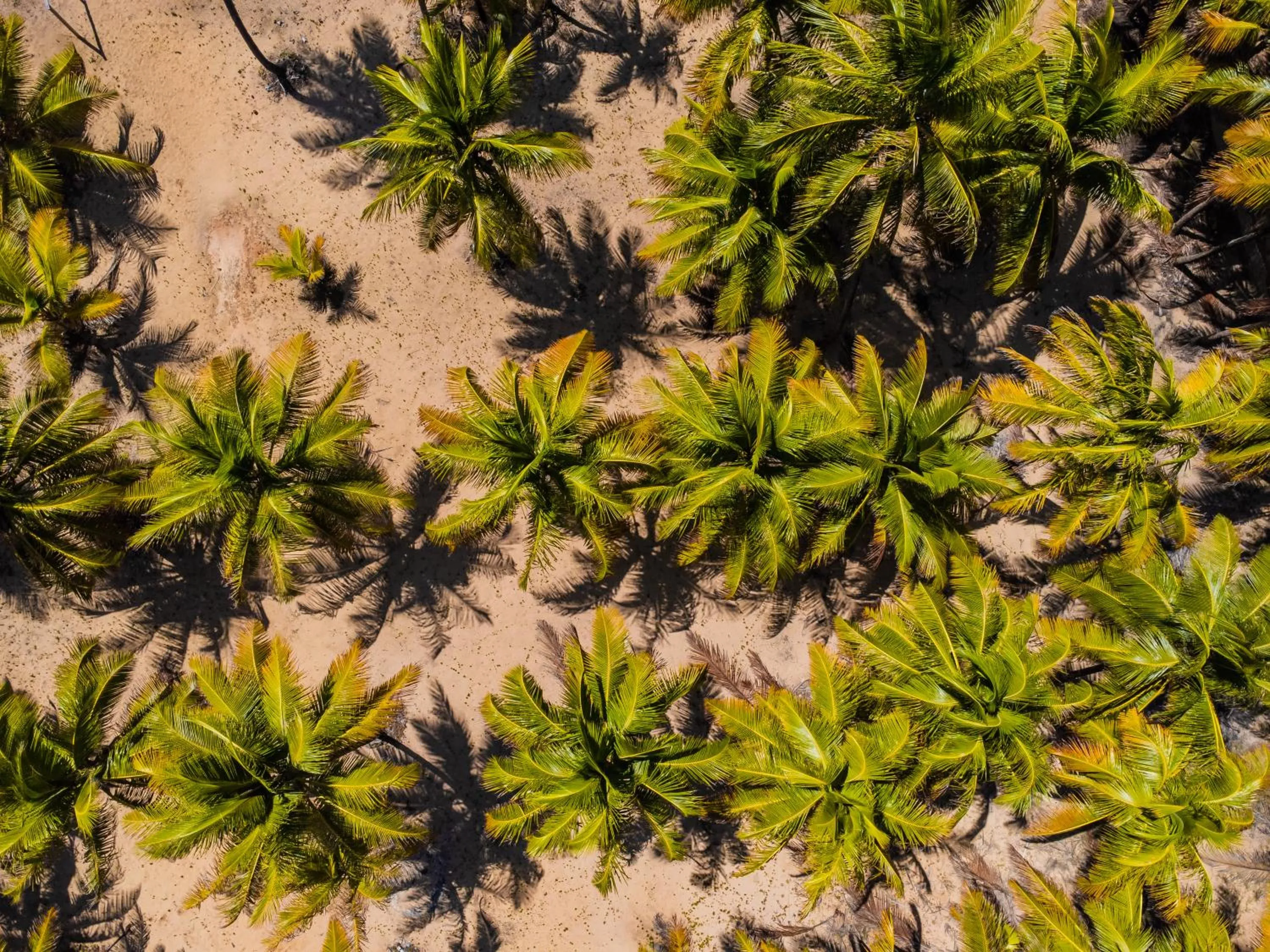 Activities in Hotel Boutique & Spa Ponta de Inhambupe by Slaviero Hotéis