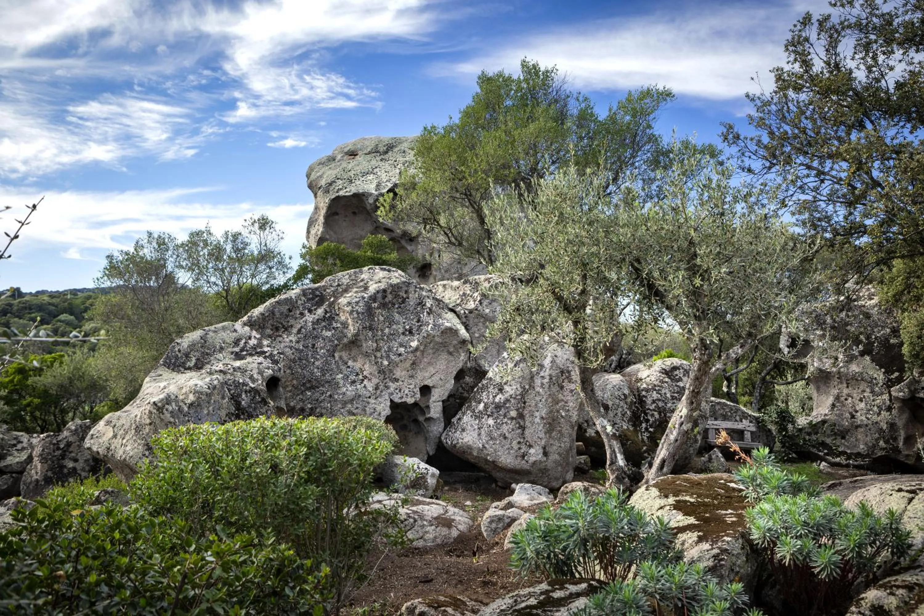 Day in Gallicantu Stazzo Retreat