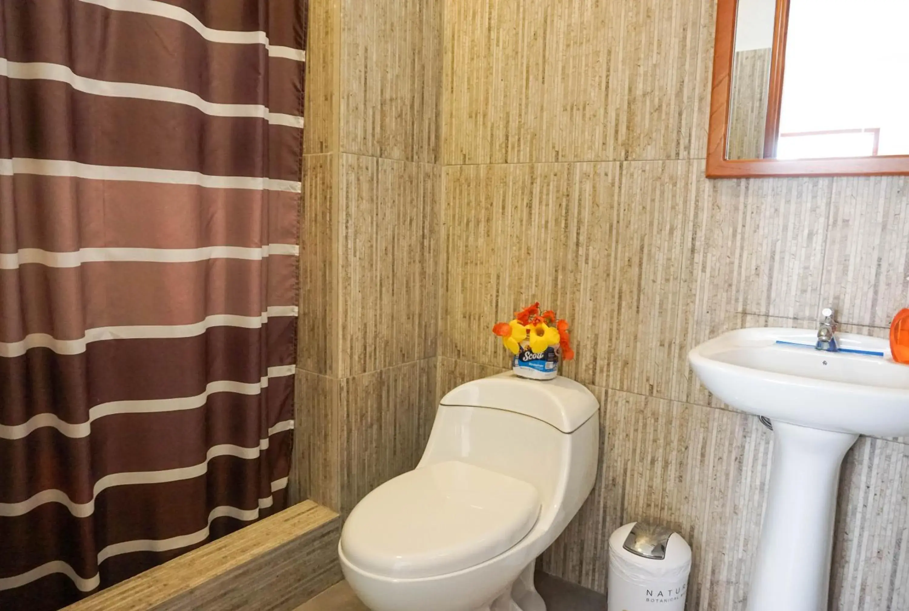 Single Room - single occupancy in Galapagos Native Single Room - single occupancy in Galapagos Native