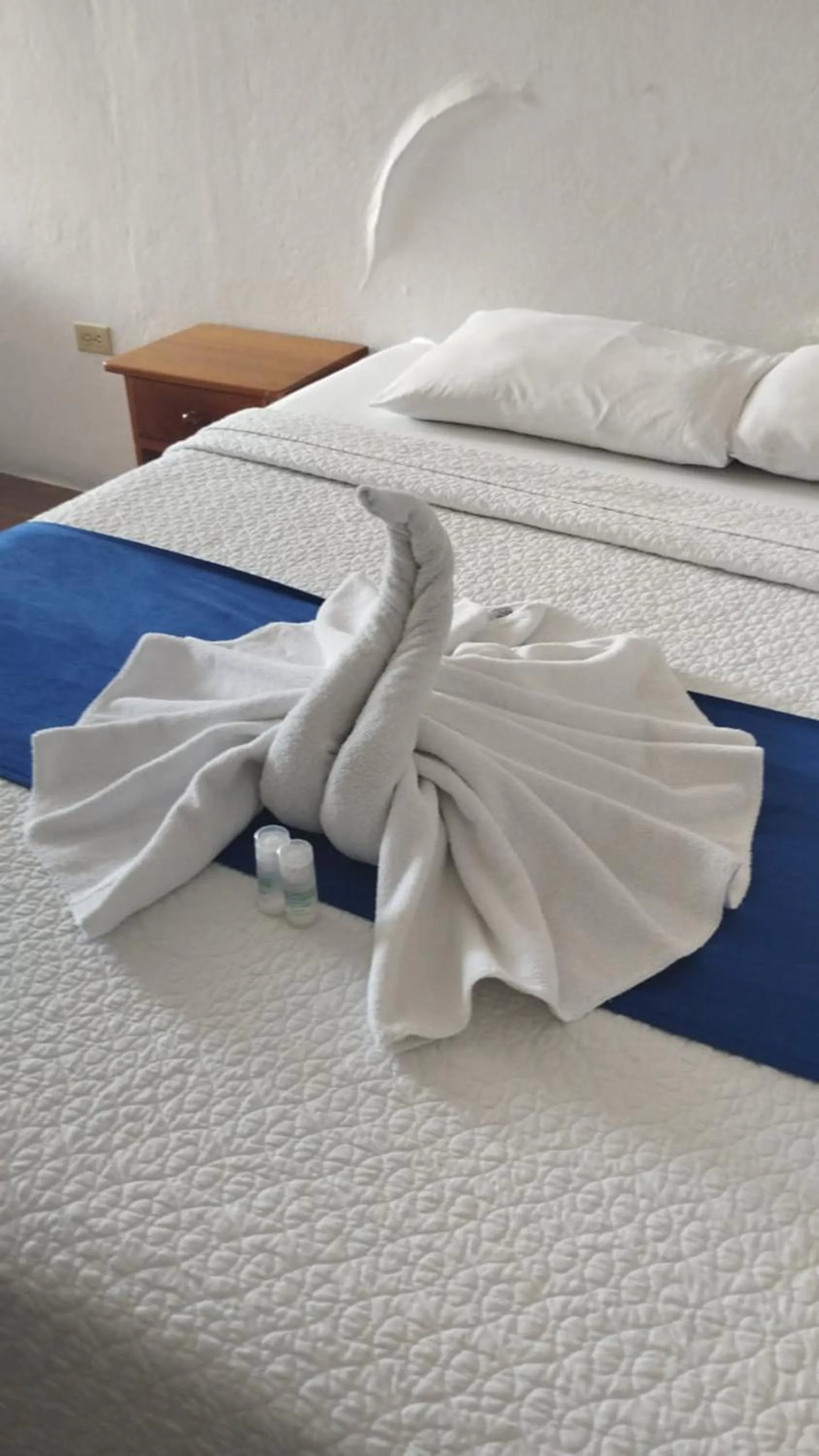 Bed in Galapagos Native