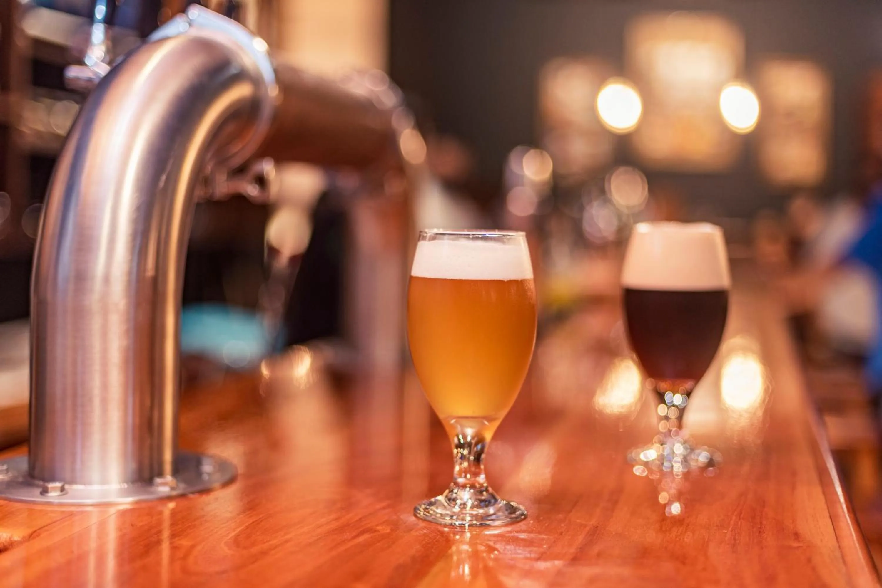 Lounge or bar in Galapagos Native