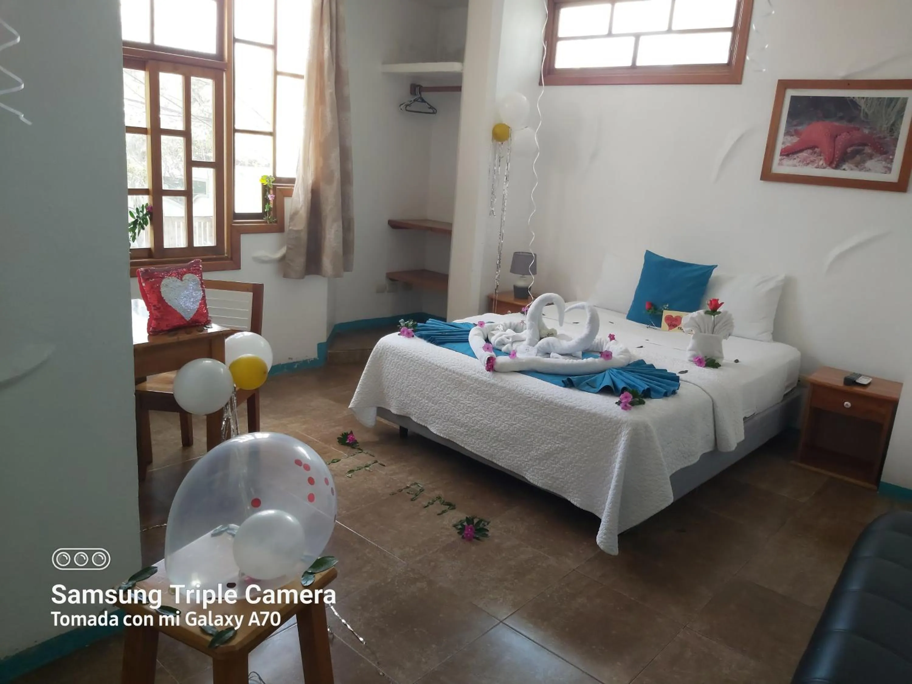 Bed in Galapagos Native