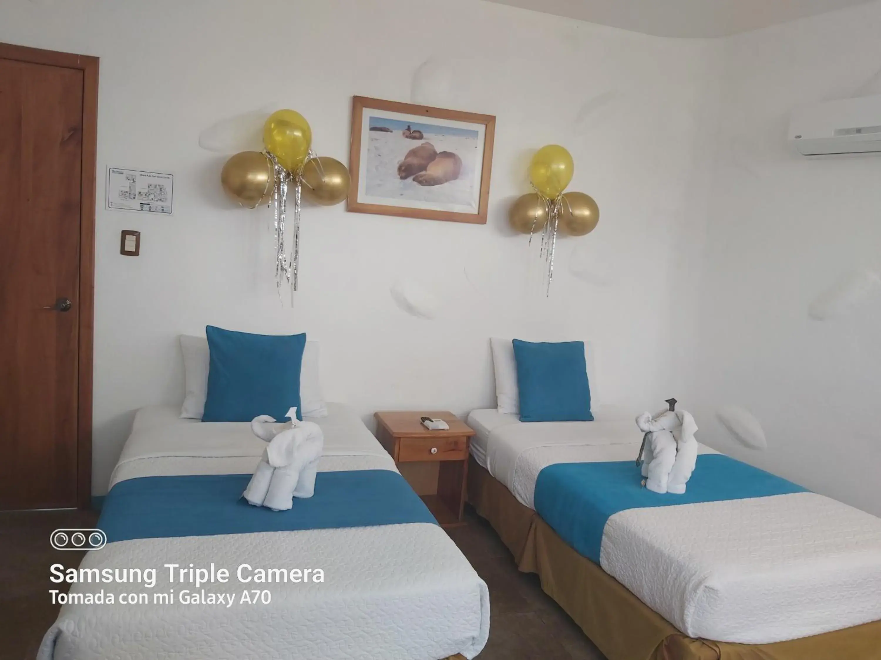 Standard Twin Room in Galapagos Native Standard Twin Room in Galapagos Native