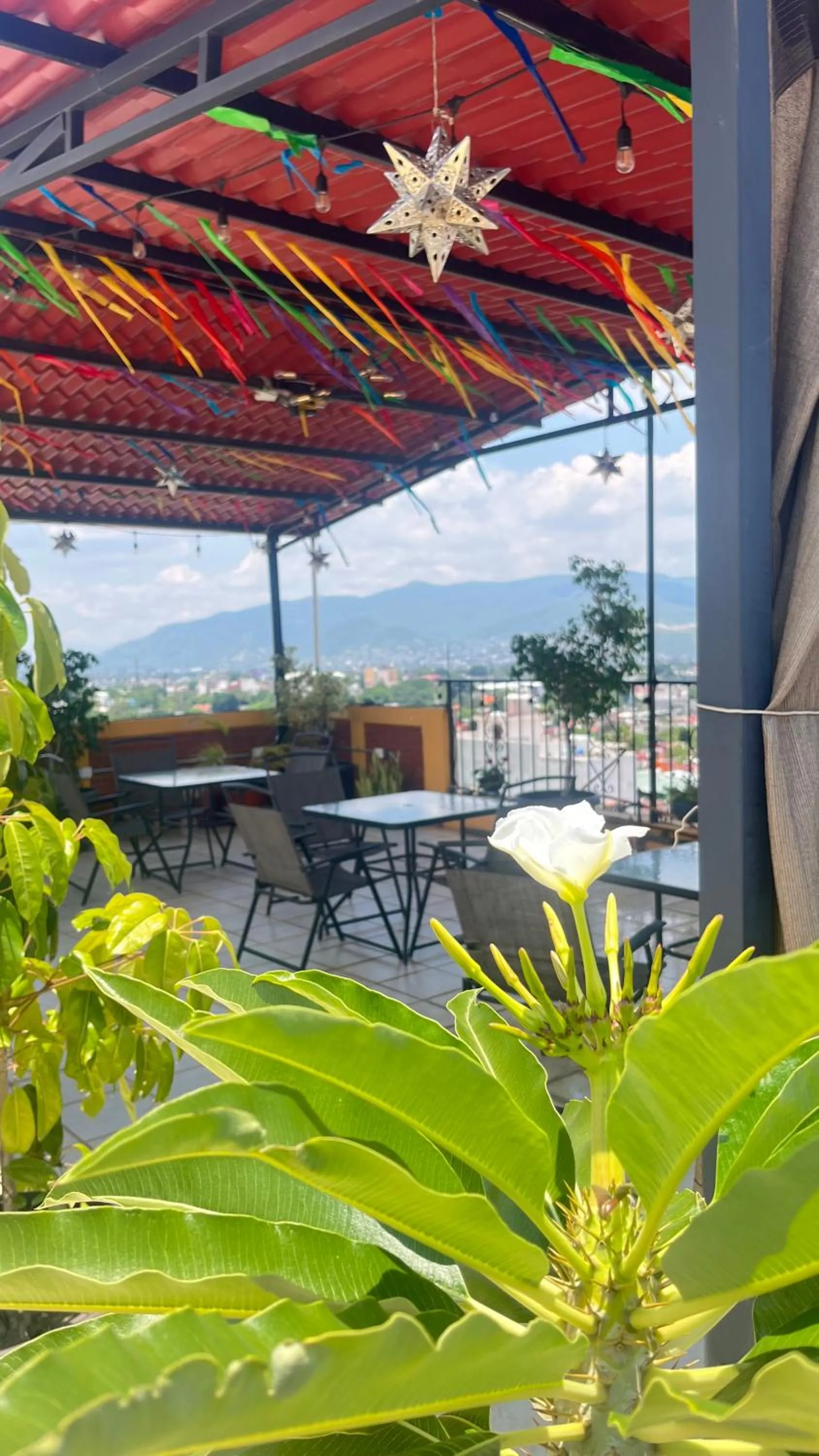 Balcony/Terrace in Hotel La Cascada Oaxaca