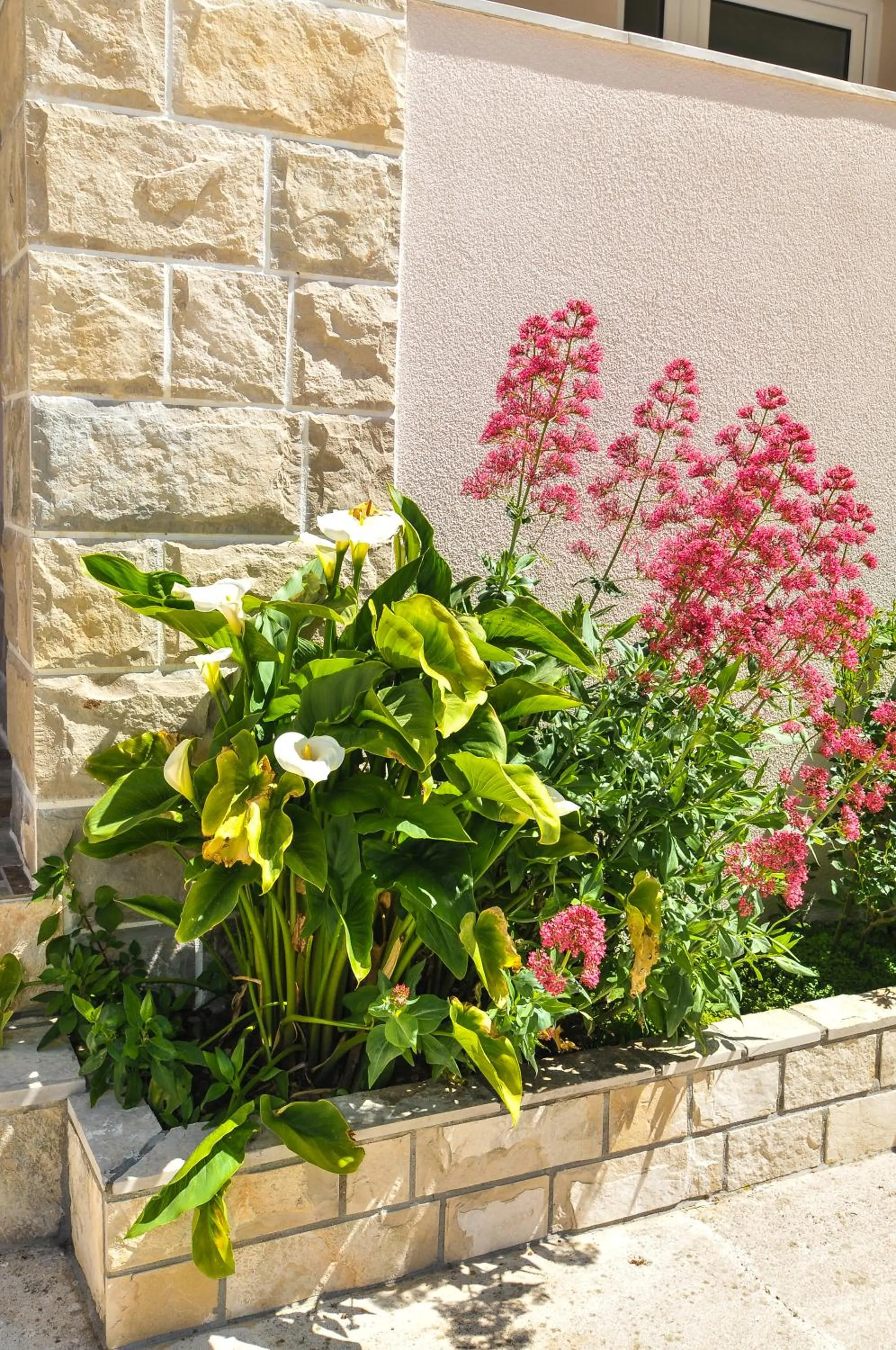 Garden in Apartments Samardžić