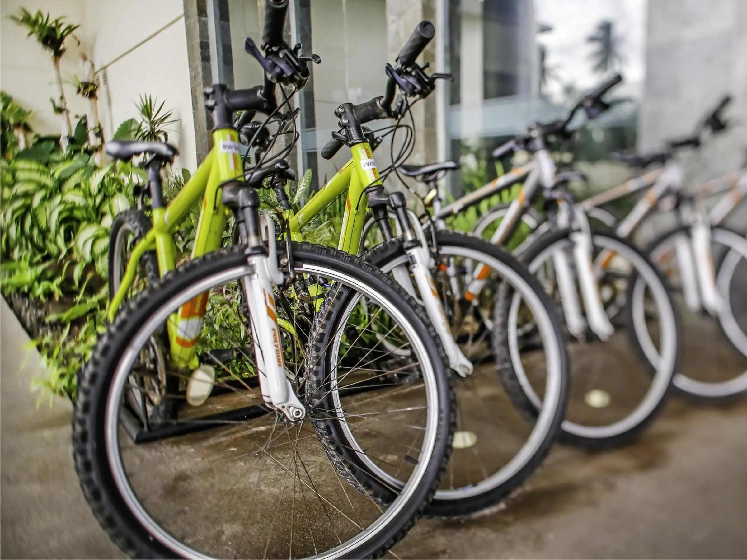 Activities in BW Suite Belitung