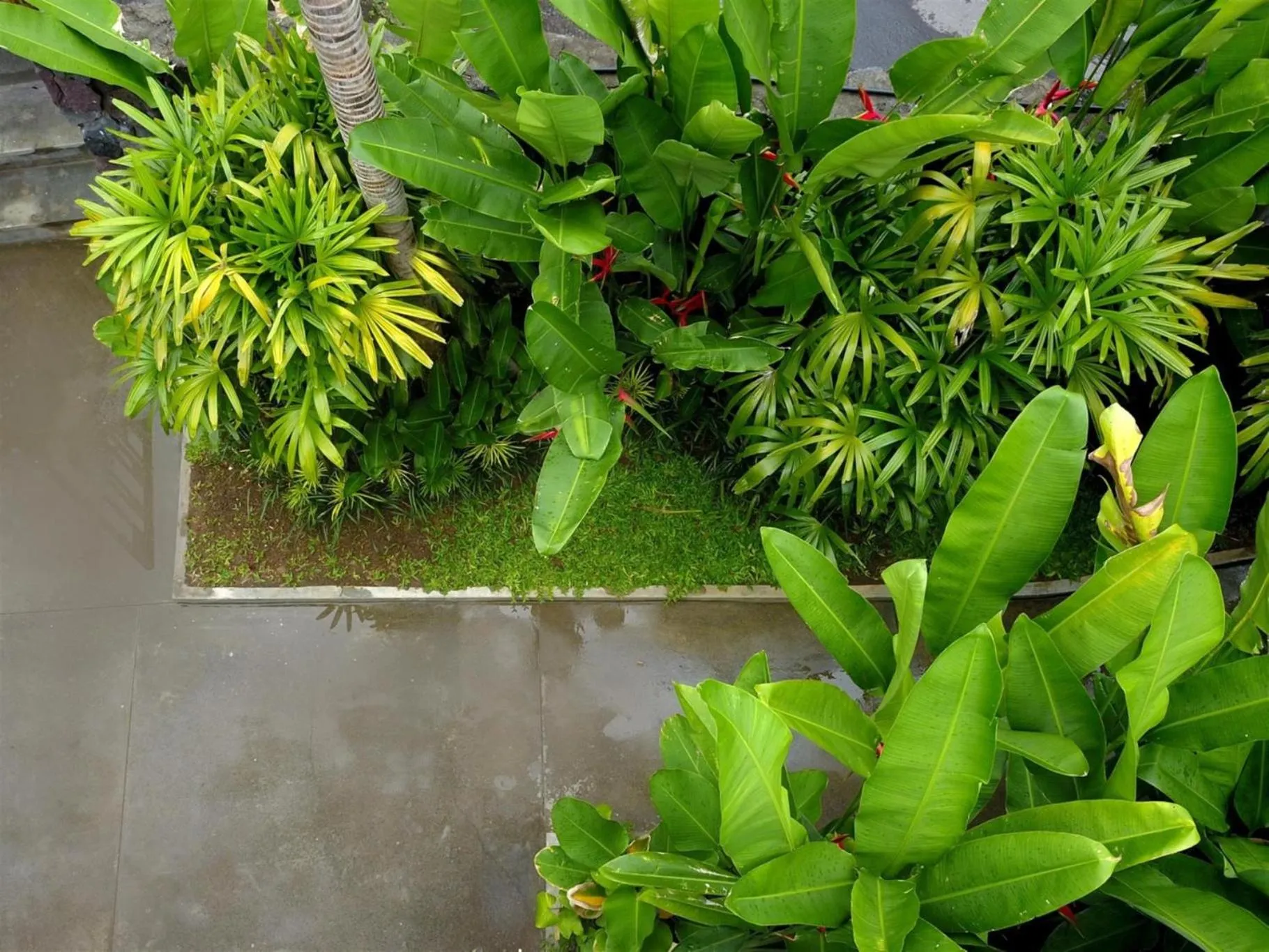 Facade/entrance in Sanora Villa Sanur by Ini Vie Hospitality