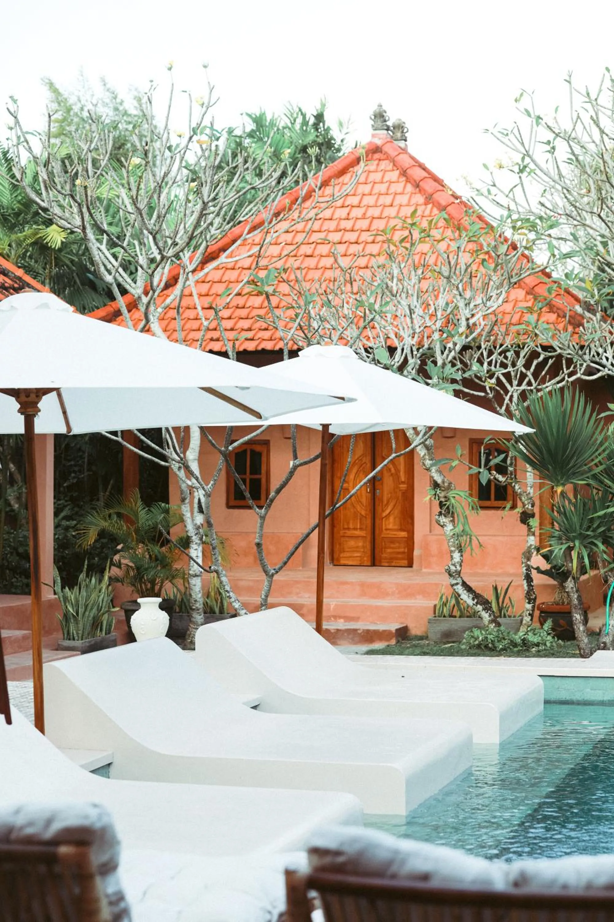 Swimming pool in Terra Cottages Bali