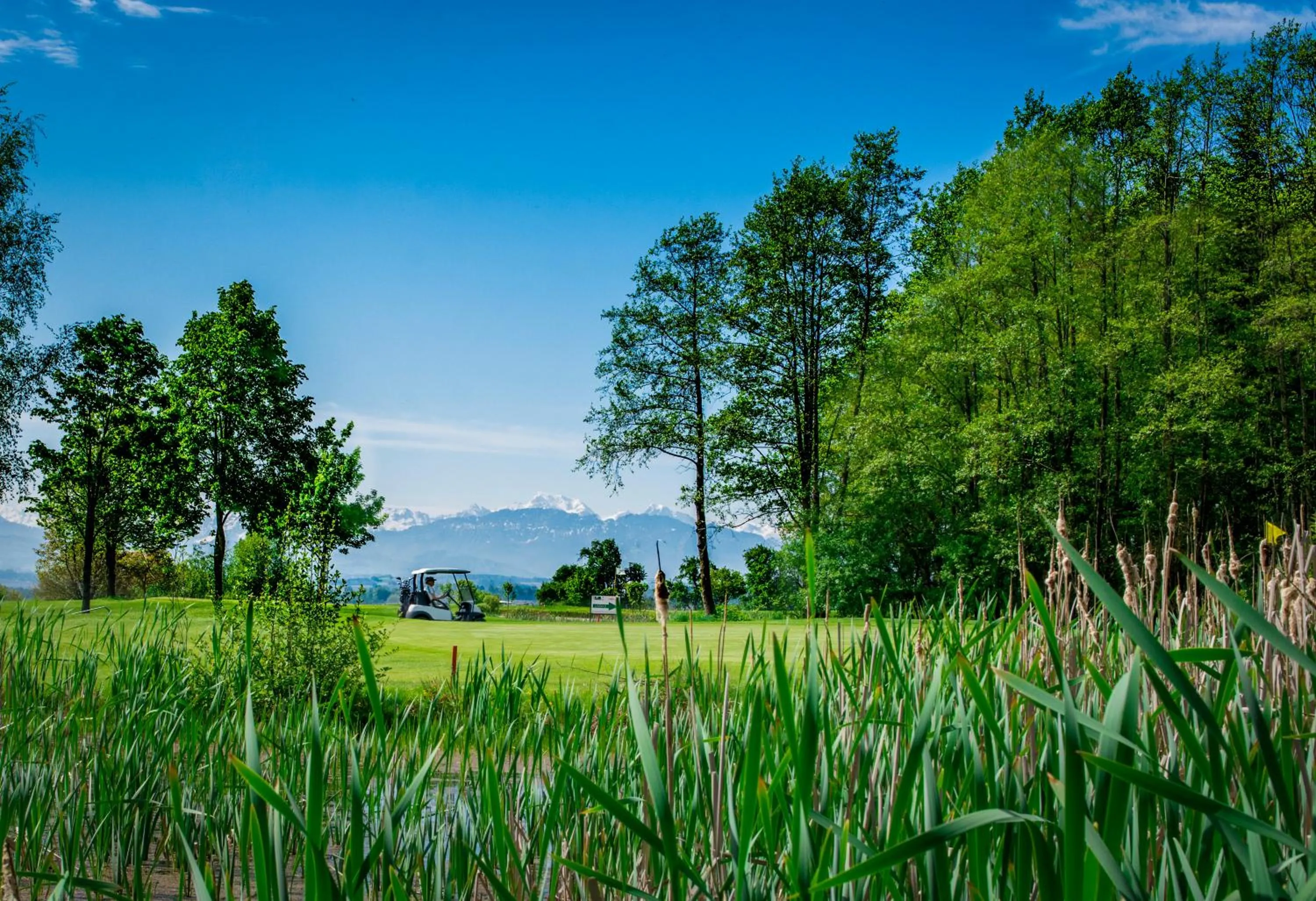 OG's Golf Lodge
