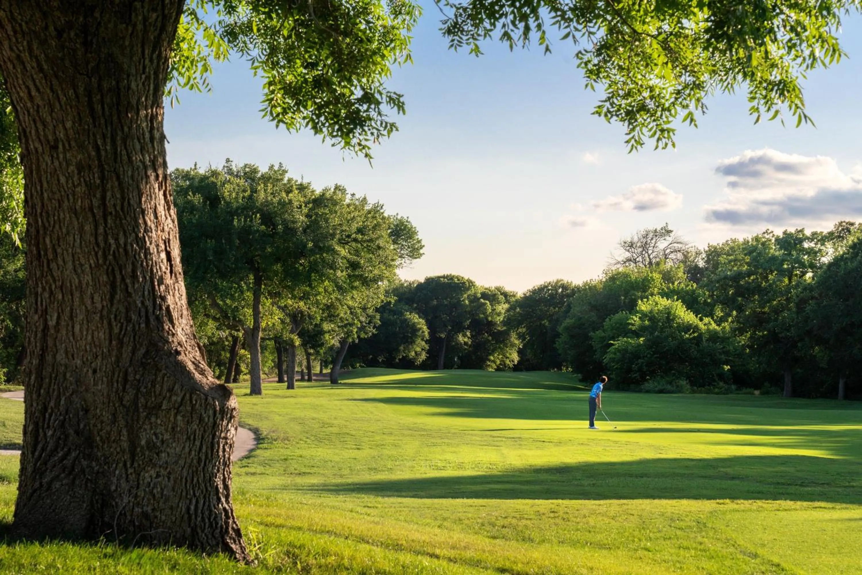 Other in Dallas/Fort Worth Marriott Hotel & Golf Club at Champions Circle