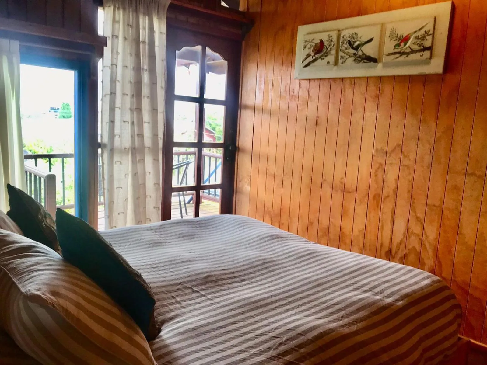 Mountain view, Bed in Hostel Raíz