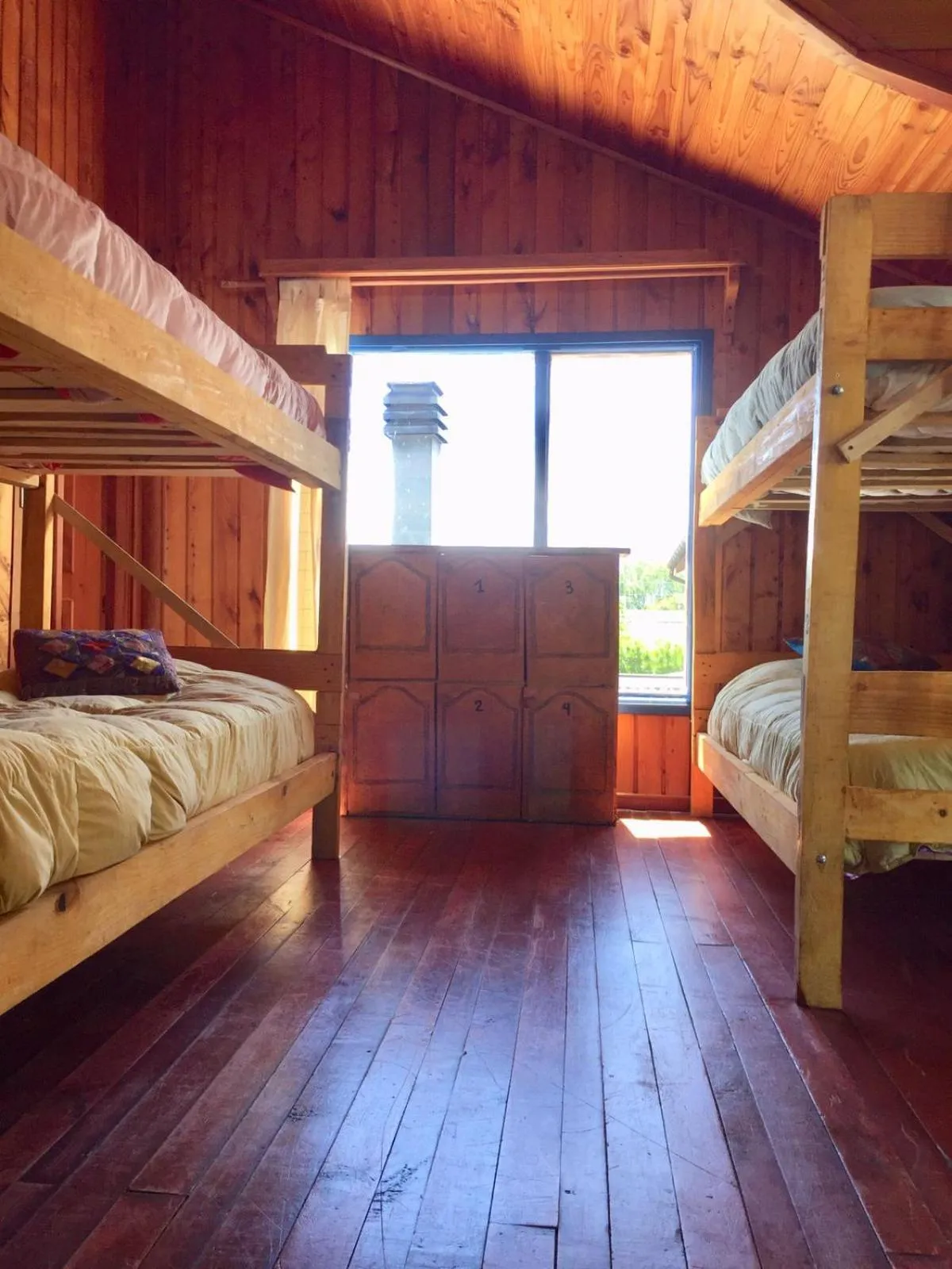 bunk bed, Bed in Hostel Raíz