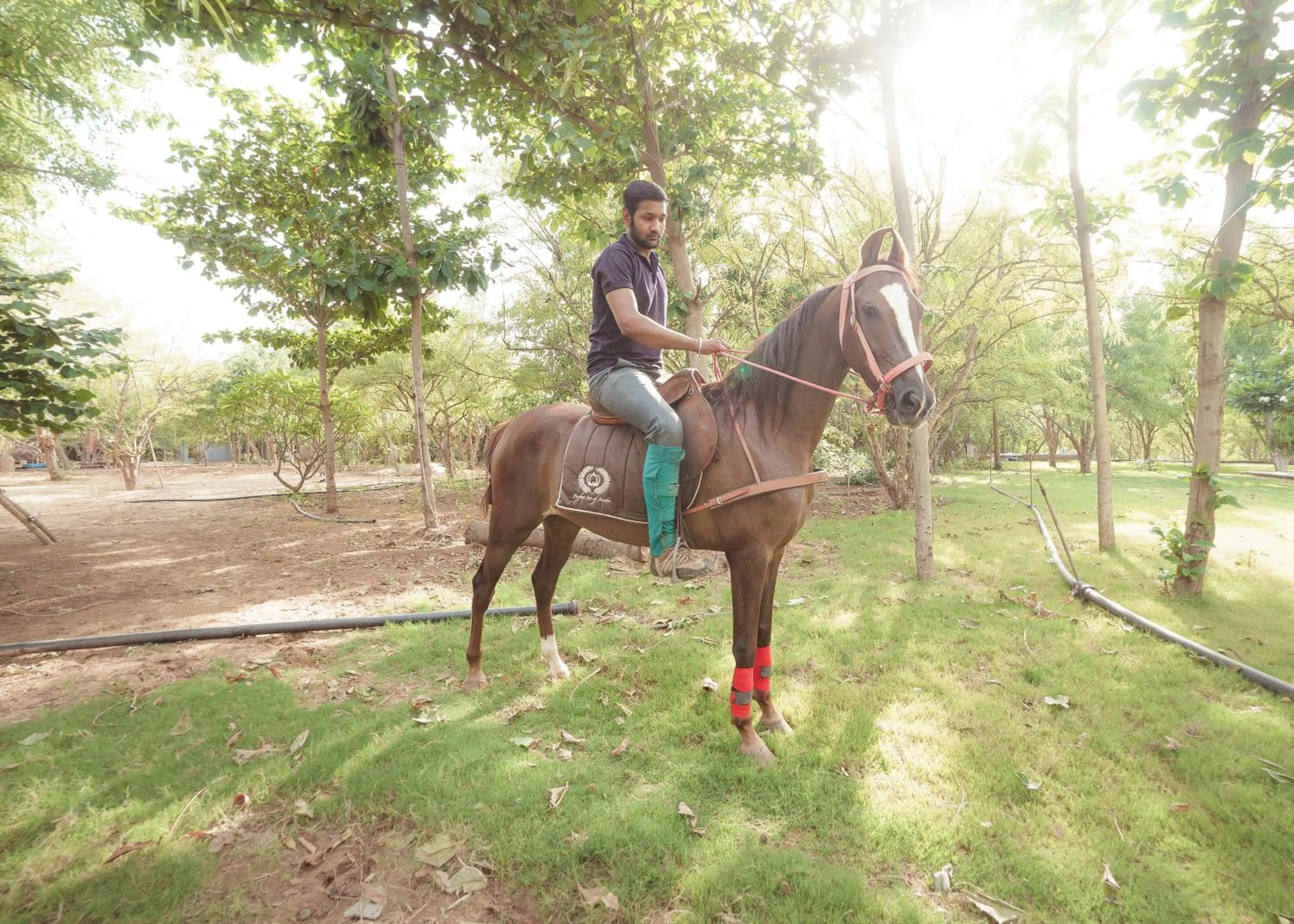 Horse-riding in PushkarOrganic - Lux farm resort with pool