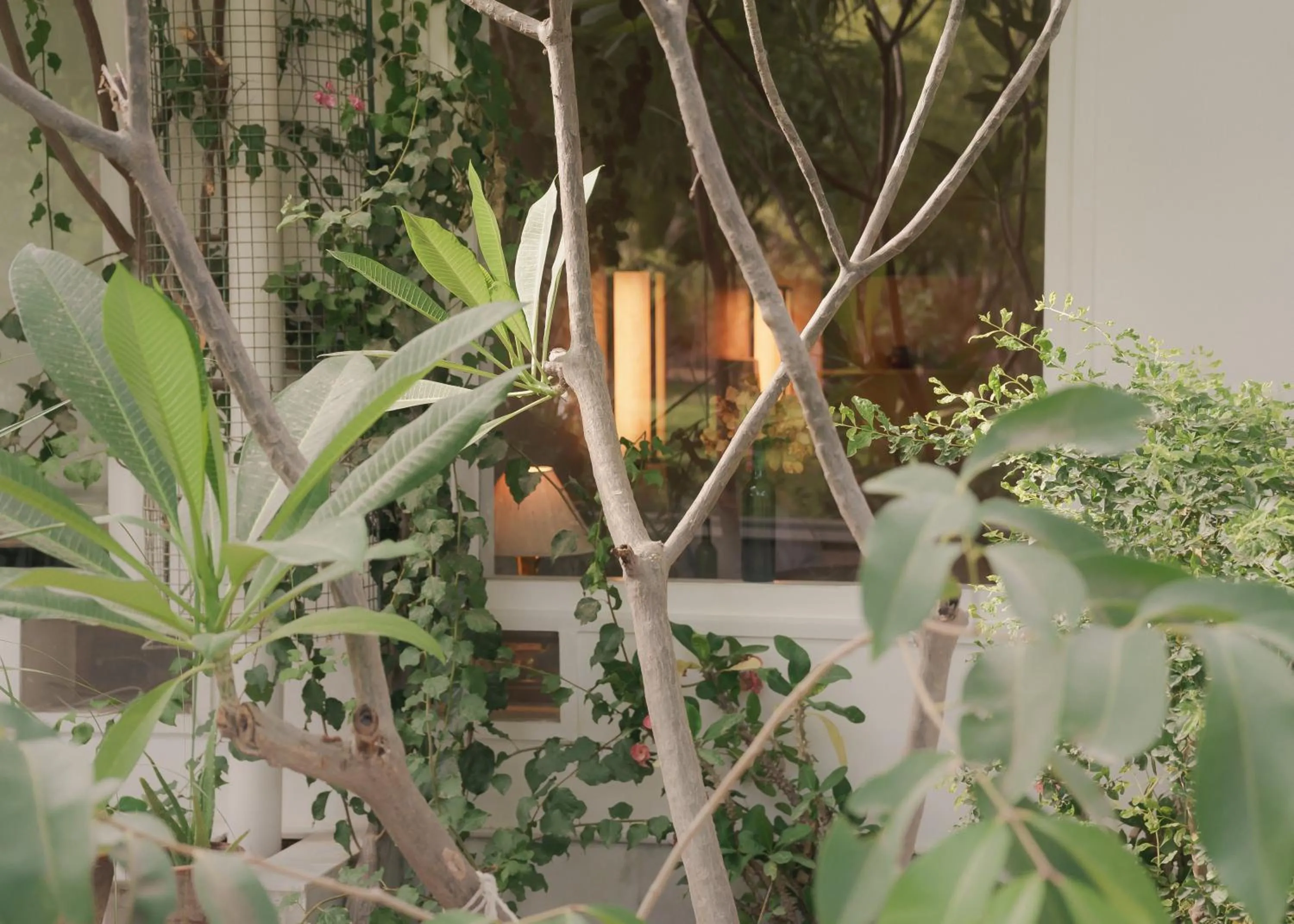 Natural landscape in PushkarOrganic - Lux farm resort with pool