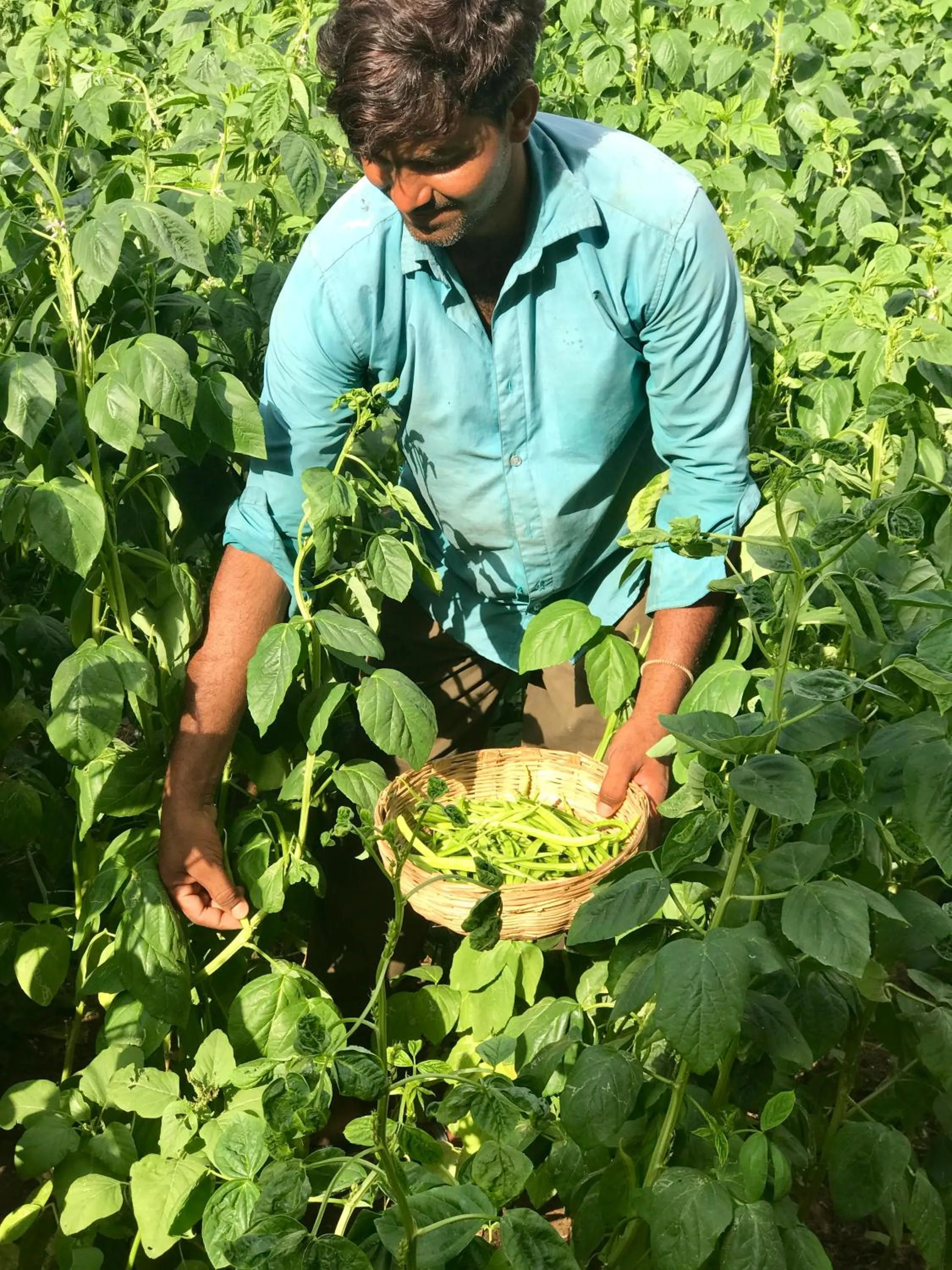 Staff in PushkarOrganic - Lux farm resort with pool