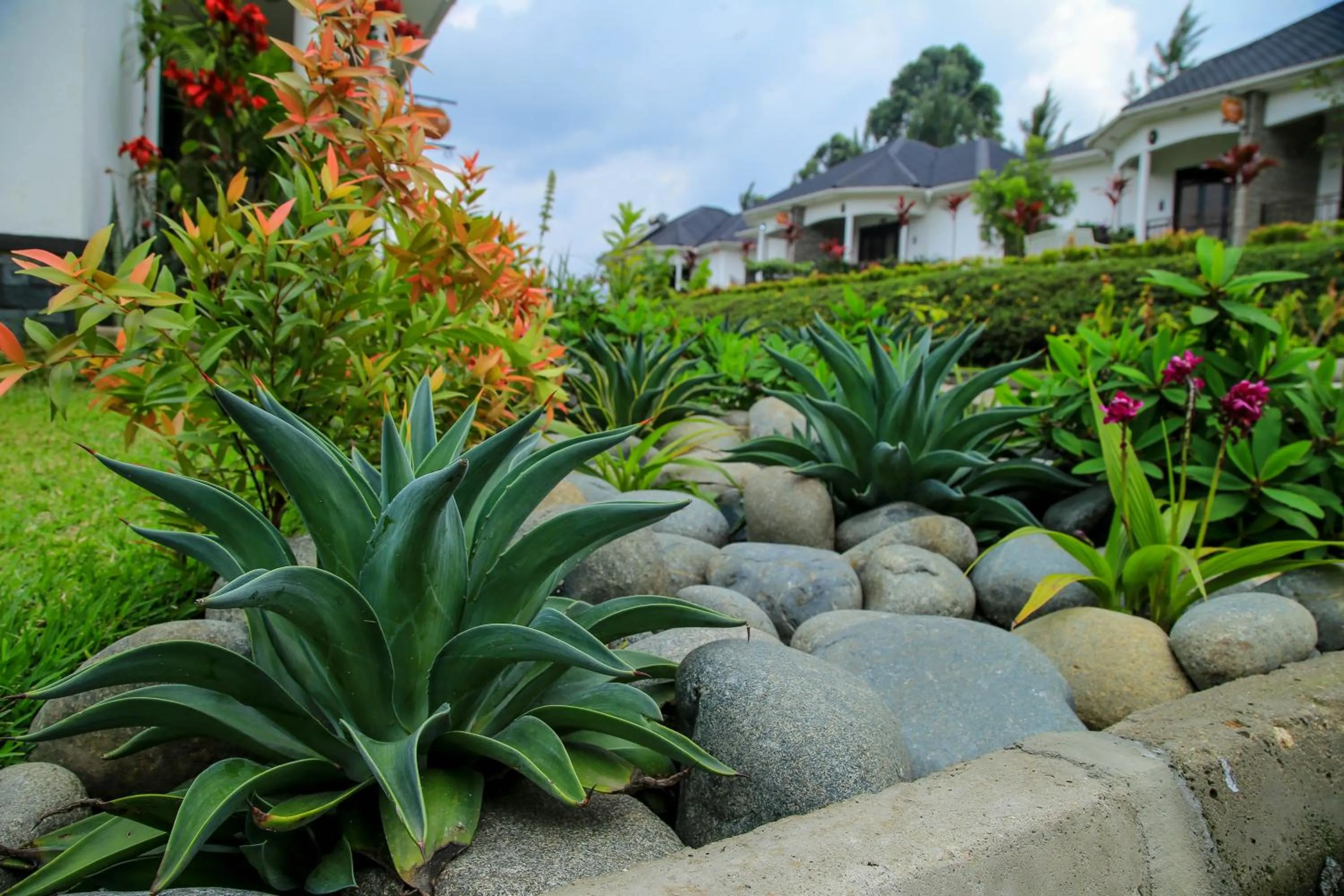 Restaurant/places to eat in Home Bliss Hotel- Fort portal Uganda