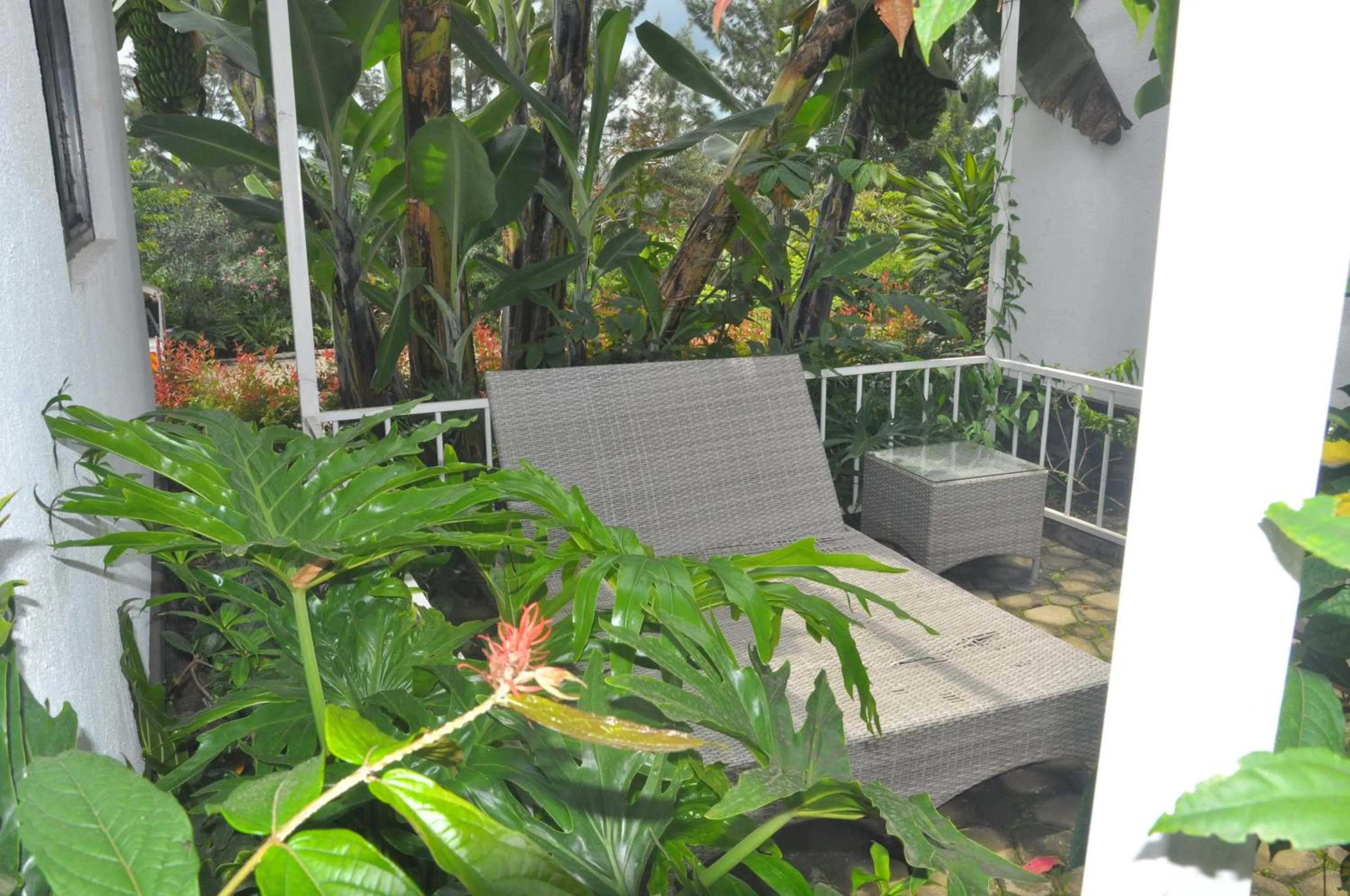 Balcony/Terrace in Home Bliss Hotel- Fort portal Uganda