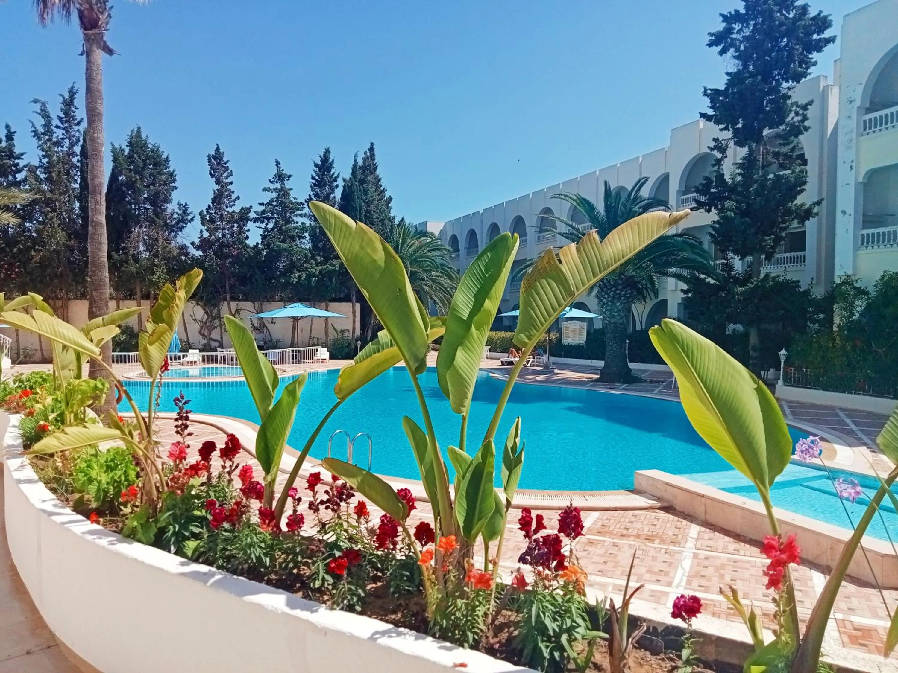 Swimming pool in Residence Royal - Deluxe