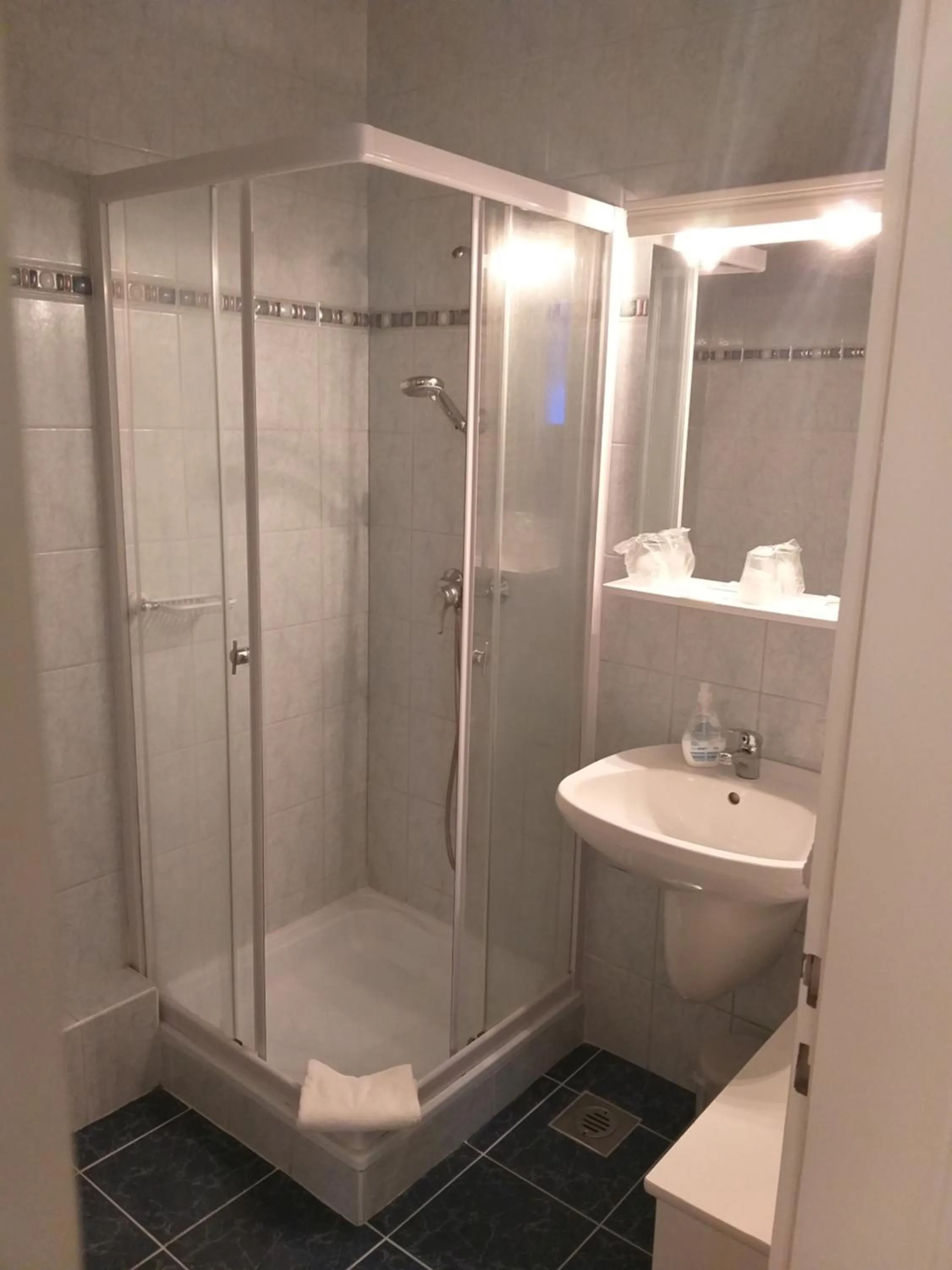 Shower in Leier Business Hotel