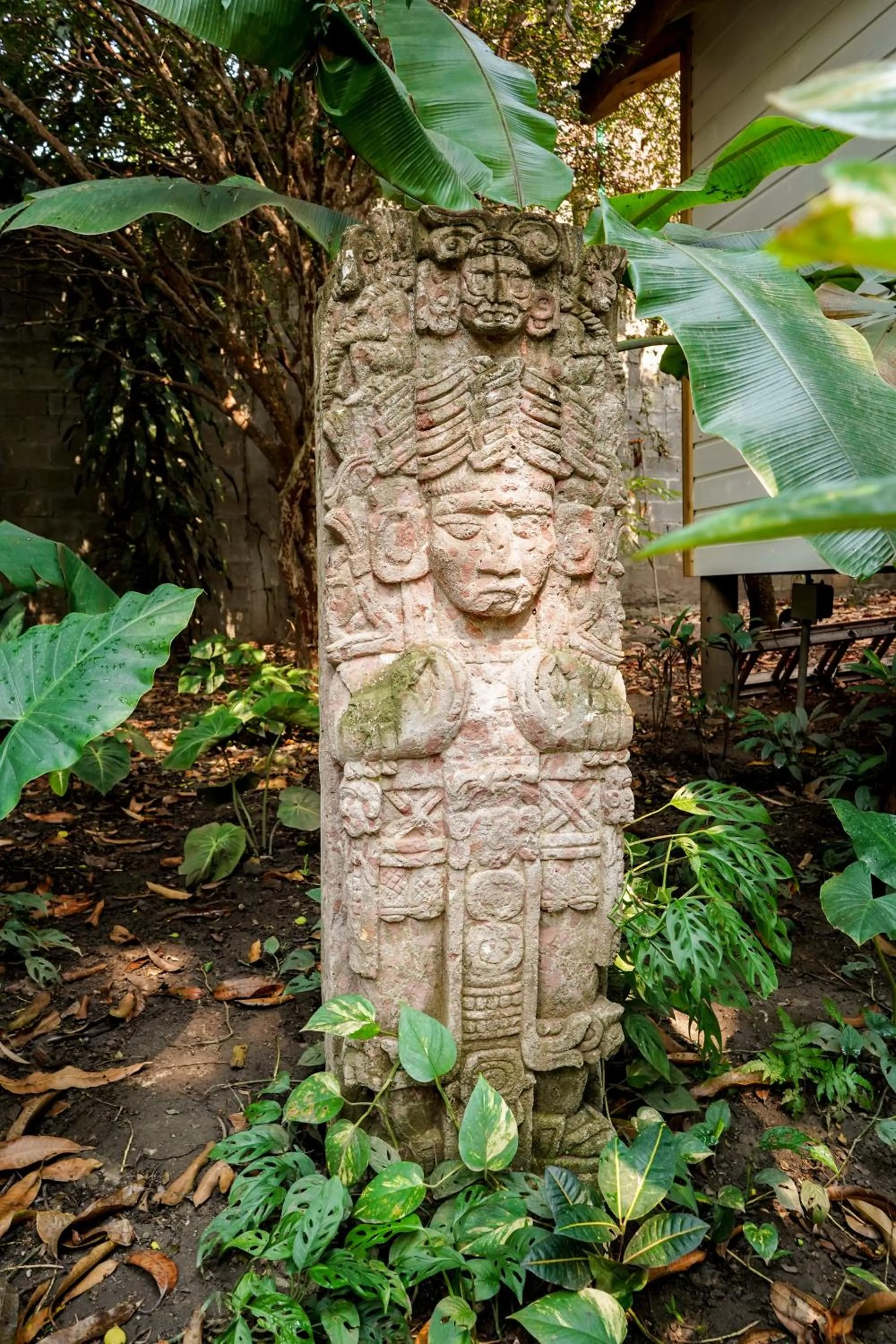 Garden in Angeli Gardens Boutique Hotel