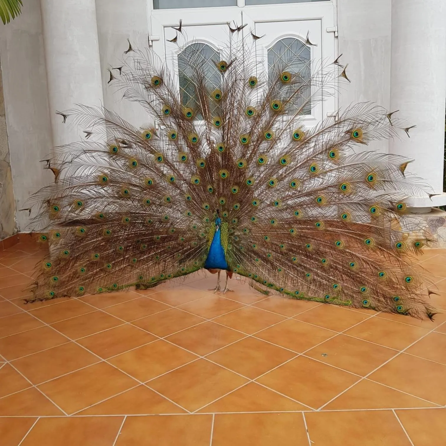 The Haven Boutique Hotel