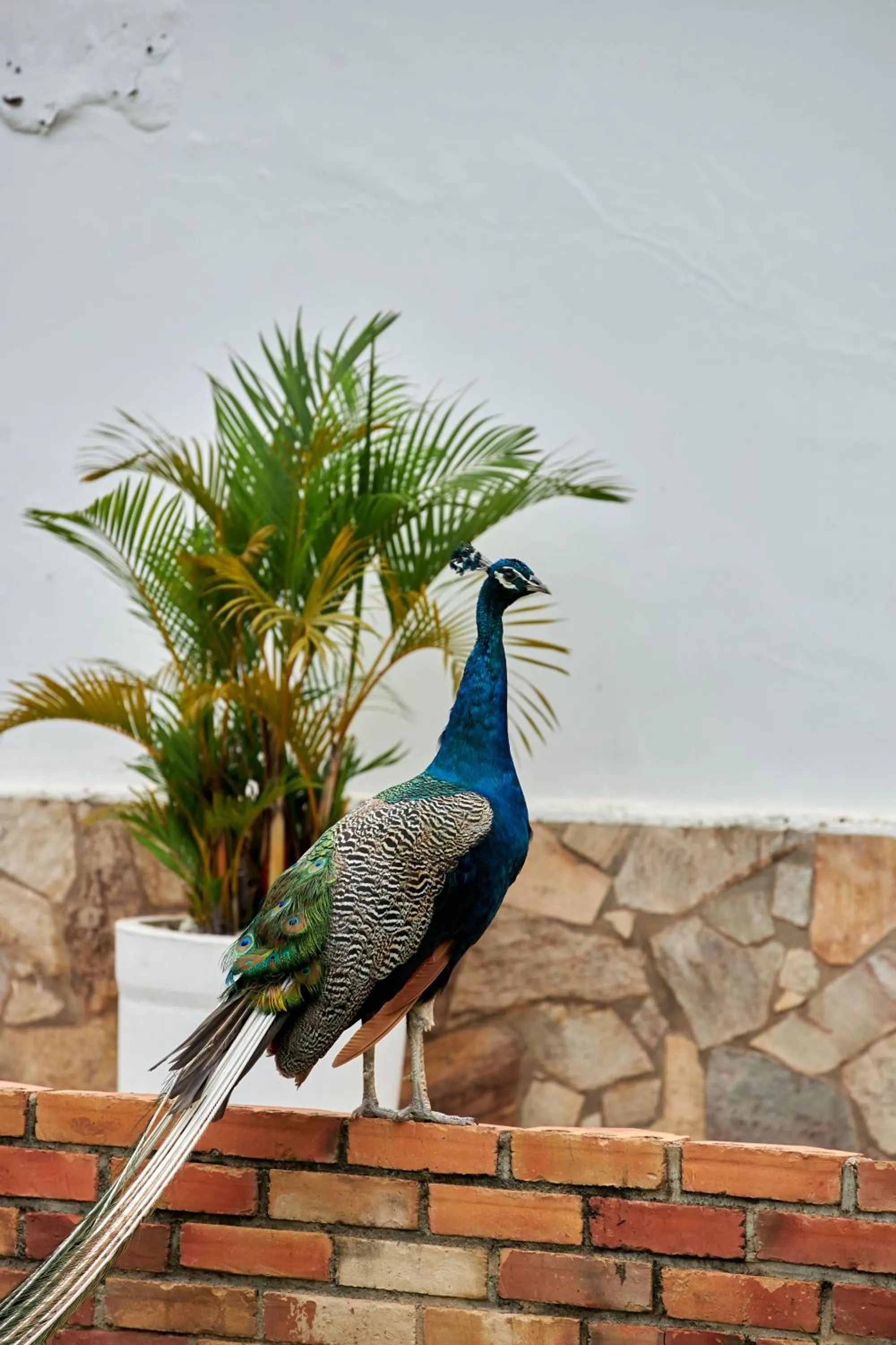 The Haven Boutique Hotel