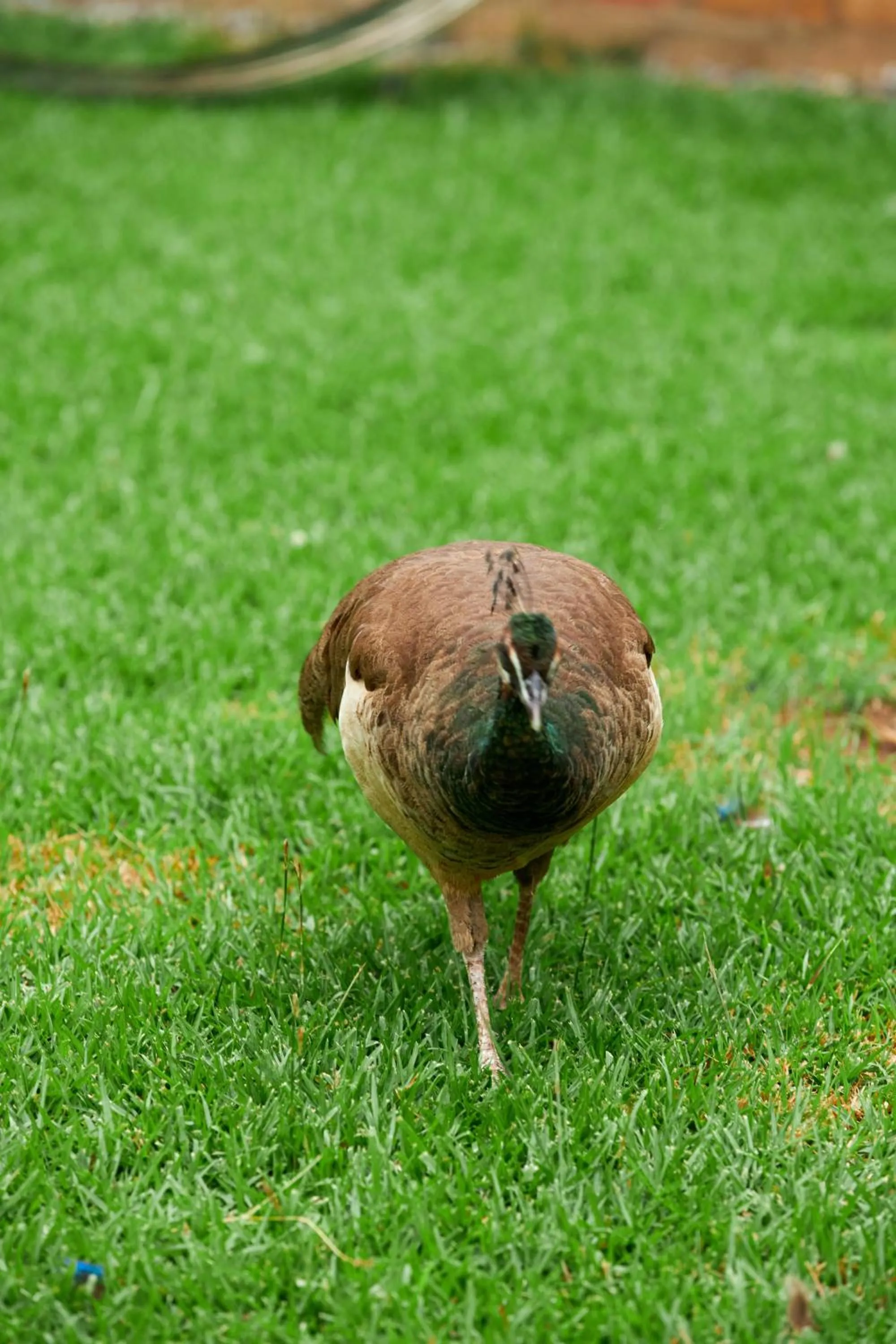 The Haven Boutique Hotel