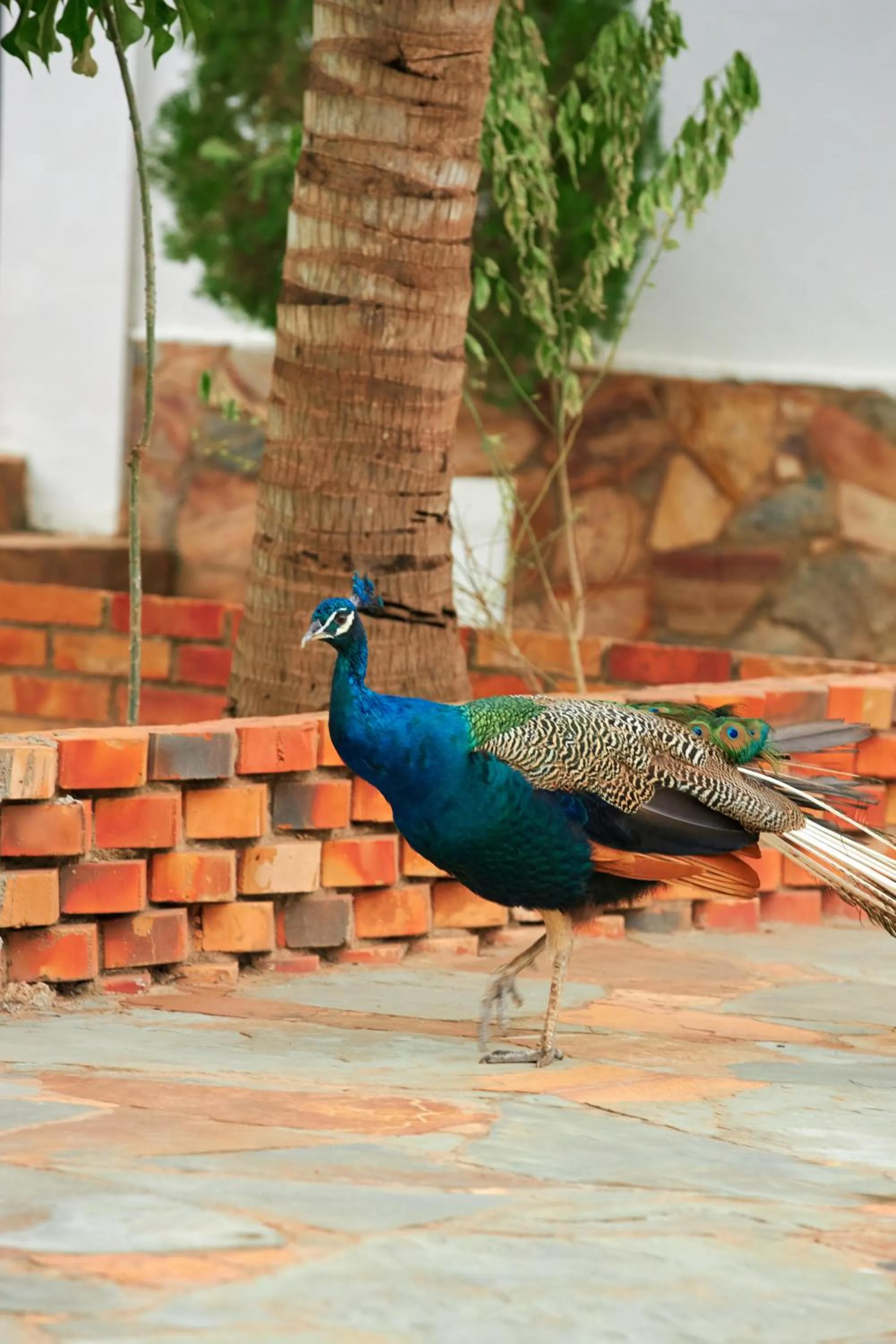 The Haven Boutique Hotel