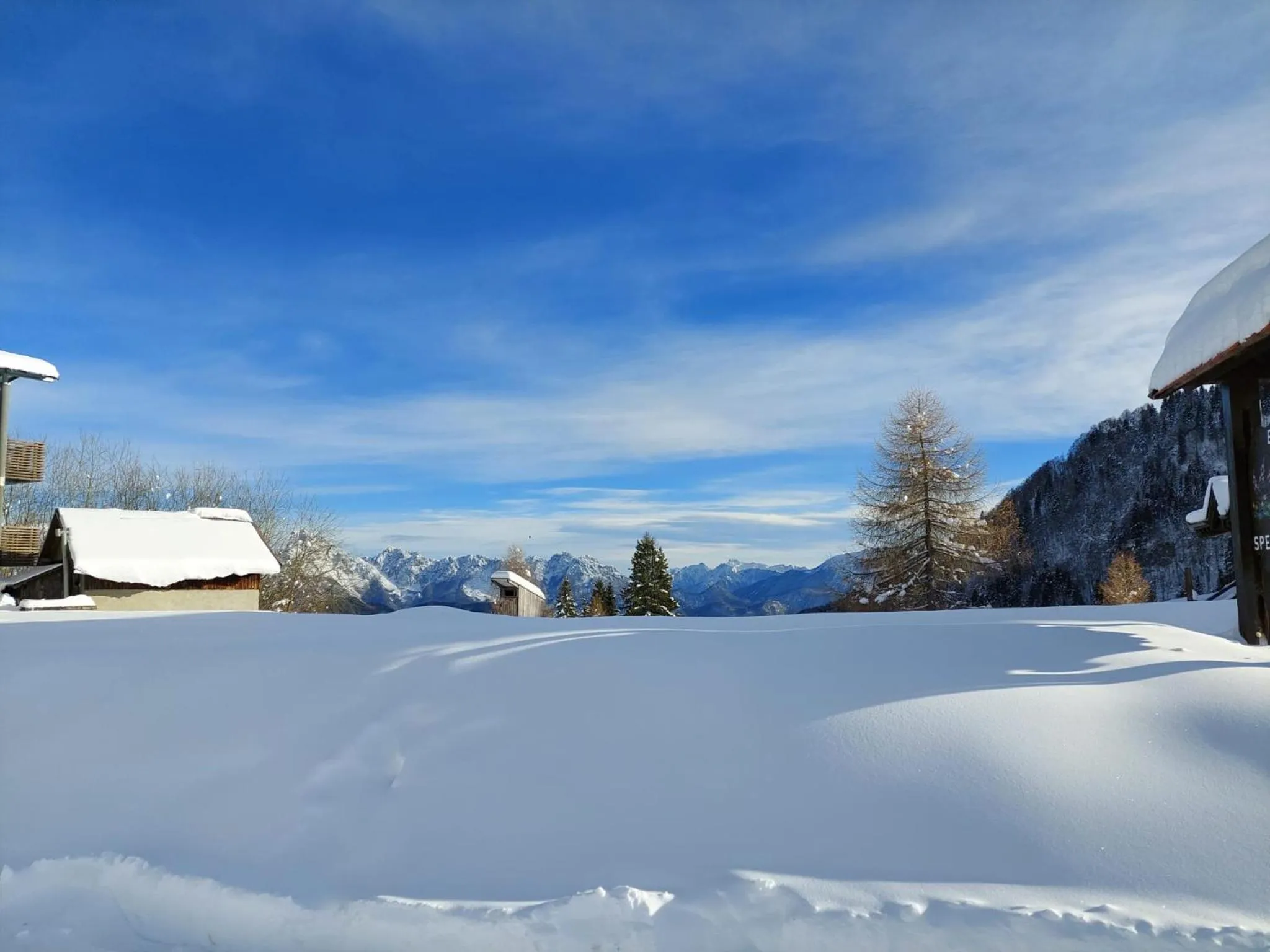 Garden in Hotel Enzo Moro