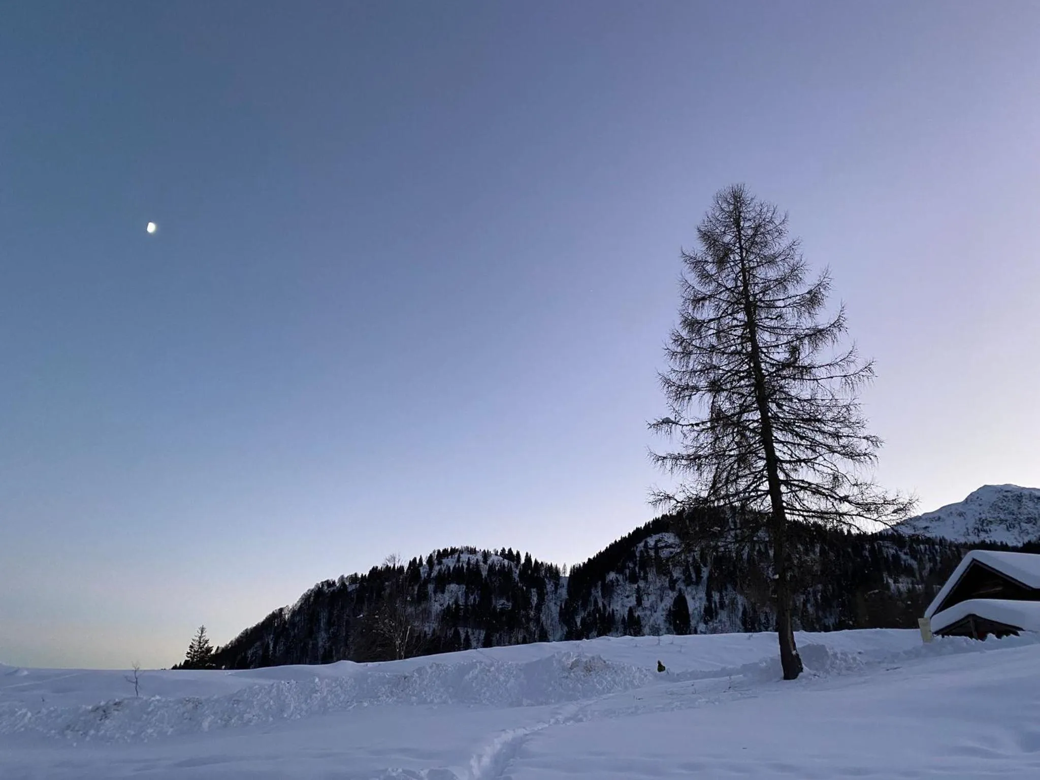 Skiing in Hotel Enzo Moro