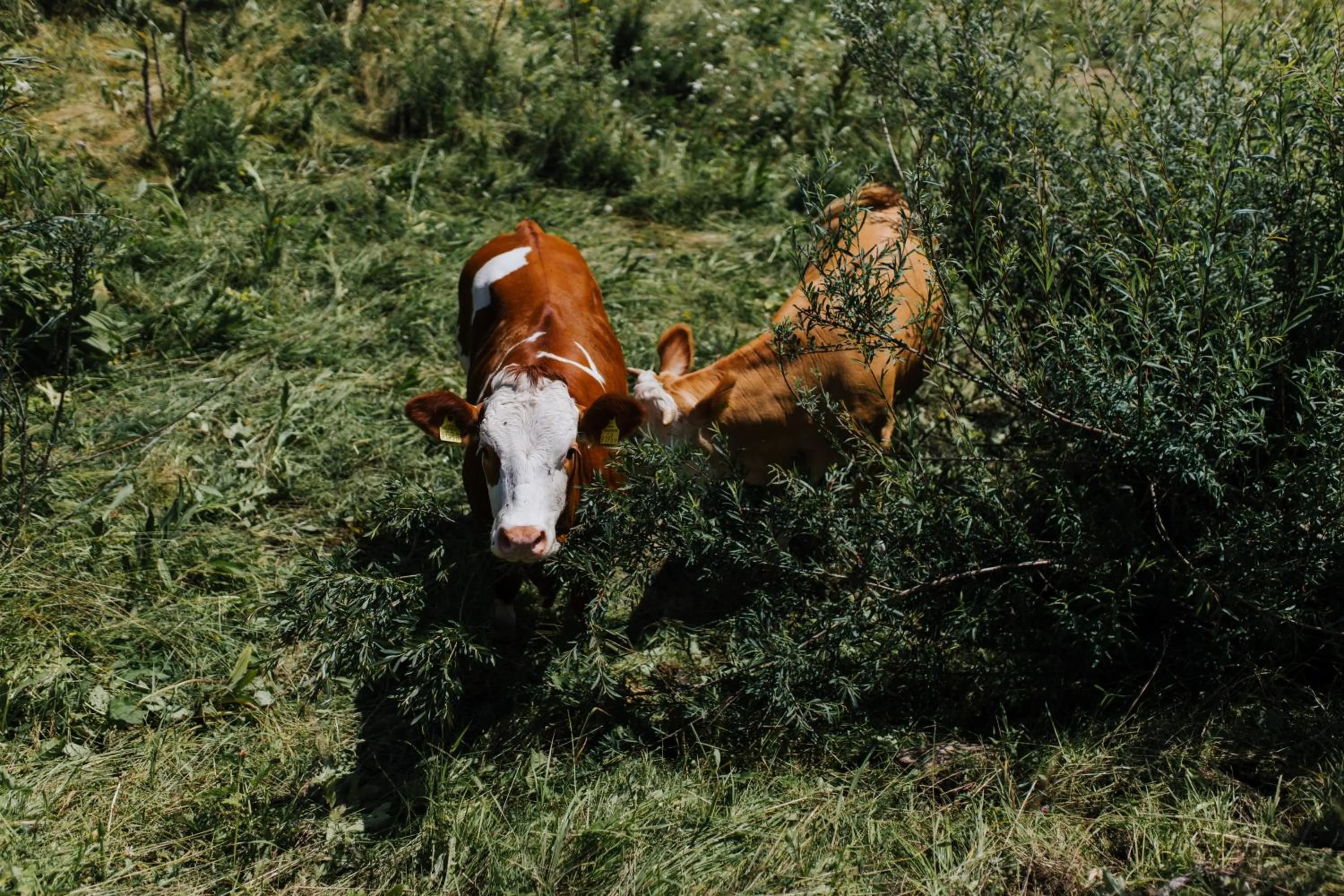 Property building in Hotel Enzo Moro